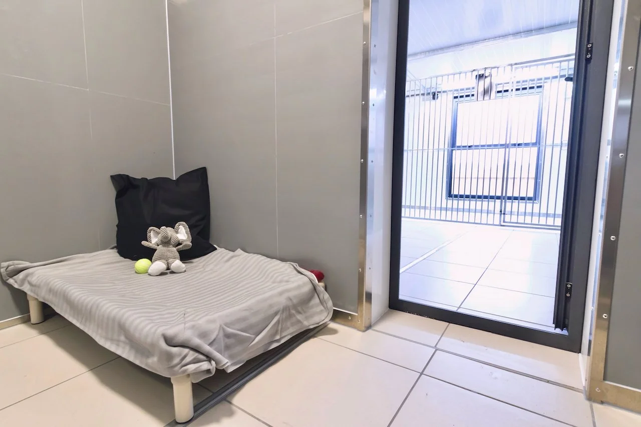 Small animal shelter with a bed, plush toy, tennis ball, and pillow inside, adjacent to a fenced outdoor area.