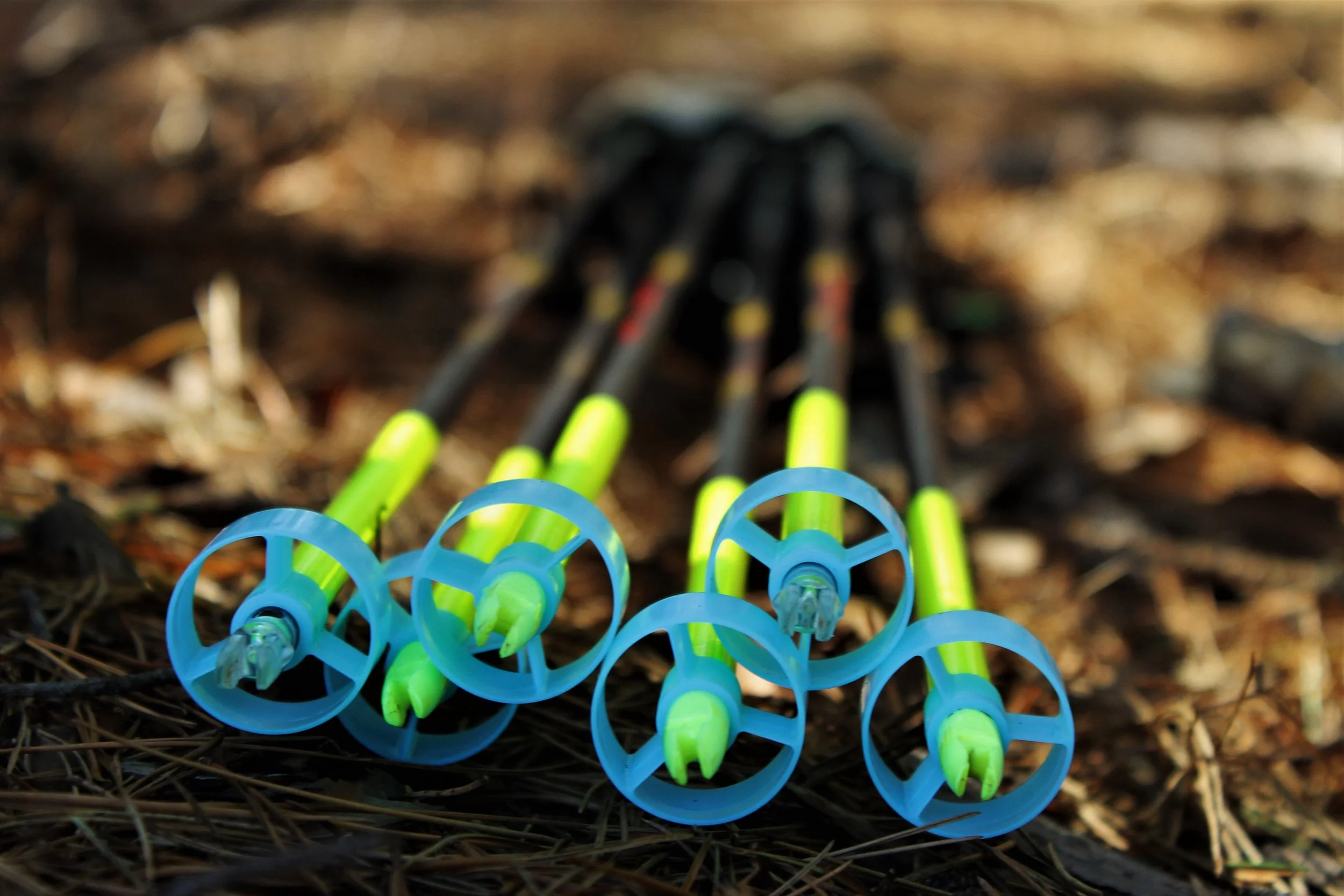 Colorful plastic toy snakes with bright green bodies and blue hoops connected at the head and tail, on a bed of pine needles or wood chips.