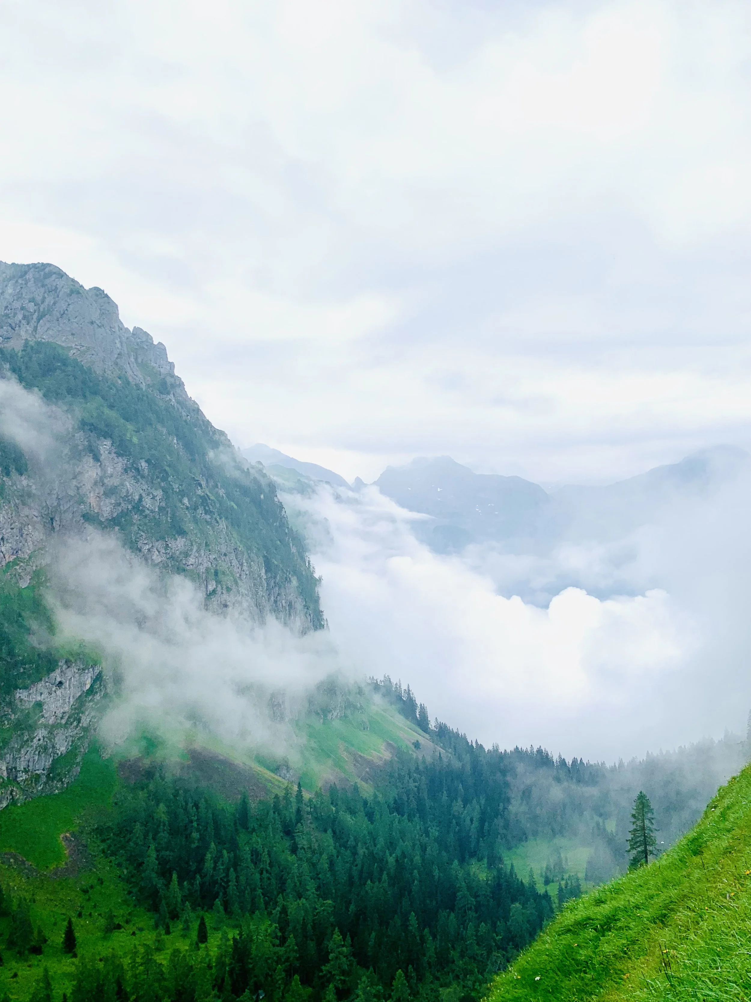 Berglandschaft mit grünen Hügeln, dichten Wäldern und Wolken in der Luft.