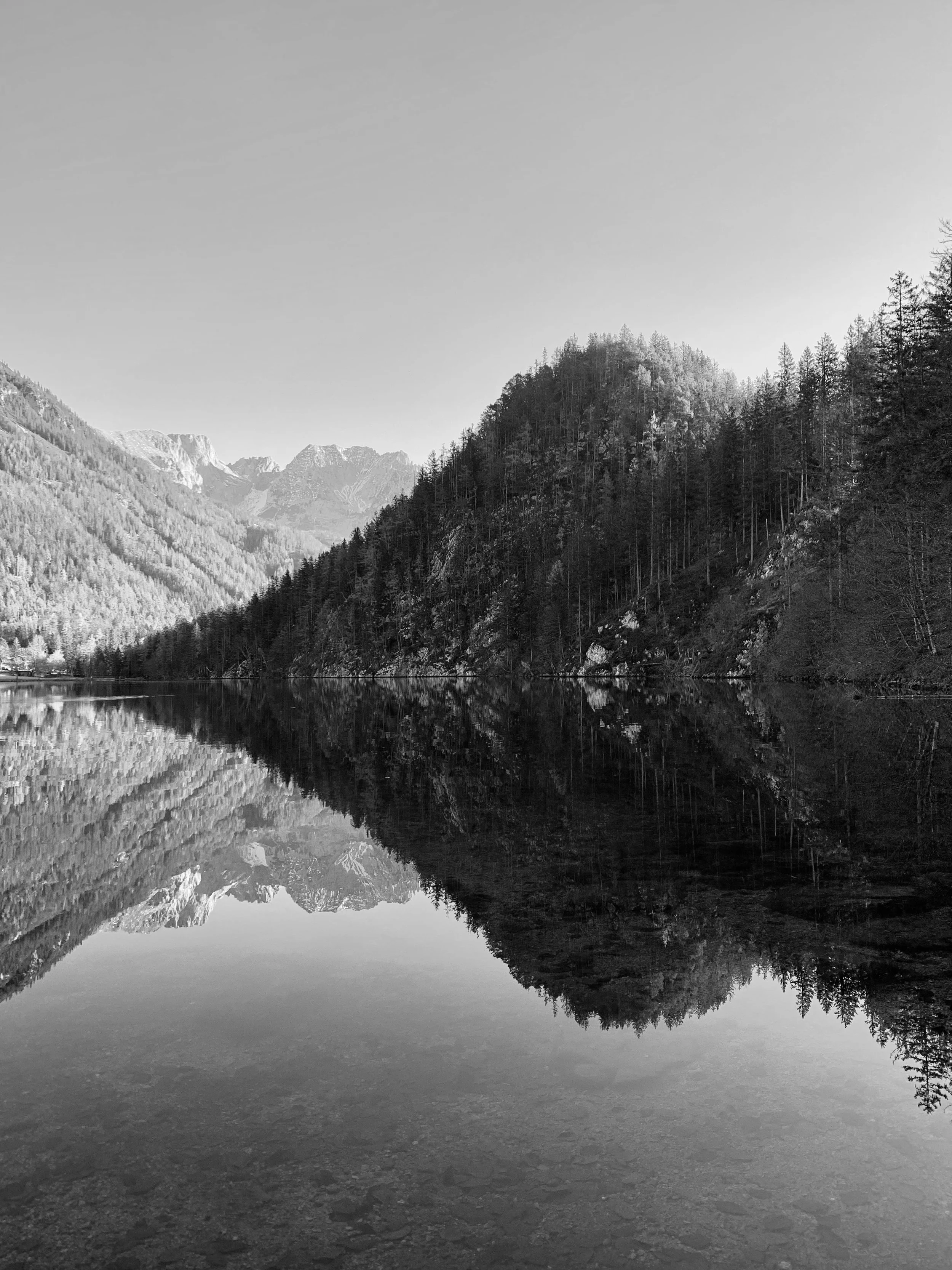 Ein Bergsee mit umliegenden Bergen und Wäldern, die im Wasser gespiegelt werden.