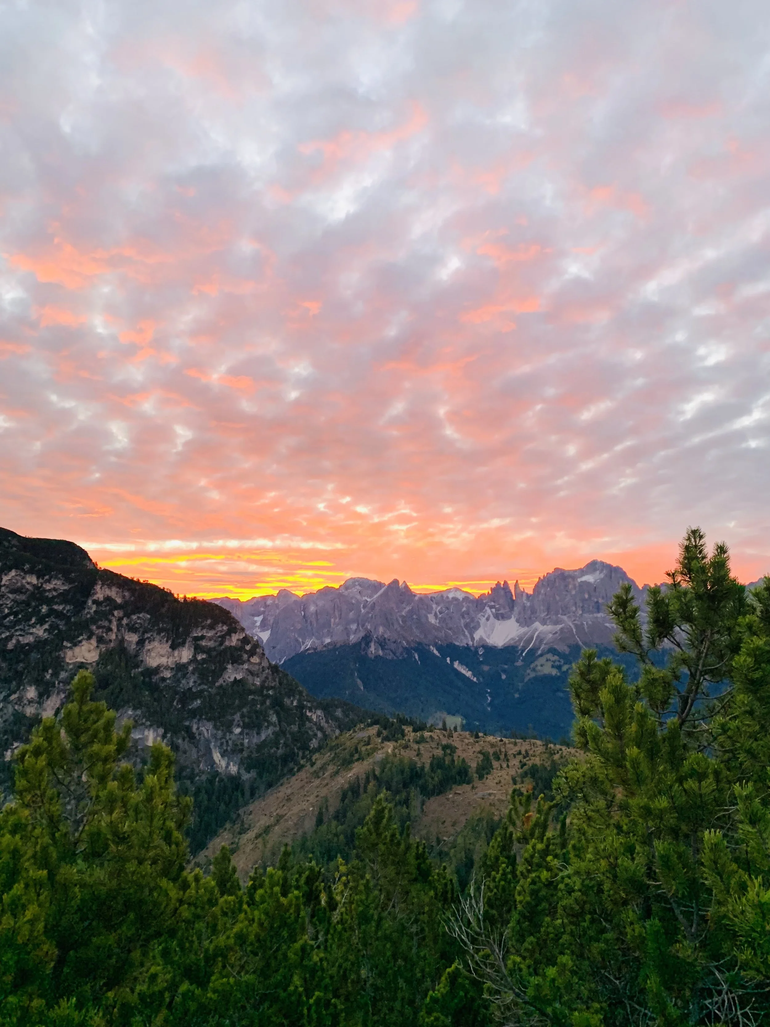 Berglandschaft bei Sonnenaufgang mit bewölktem Himmel und grünen Baumkronen im Vordergrund.