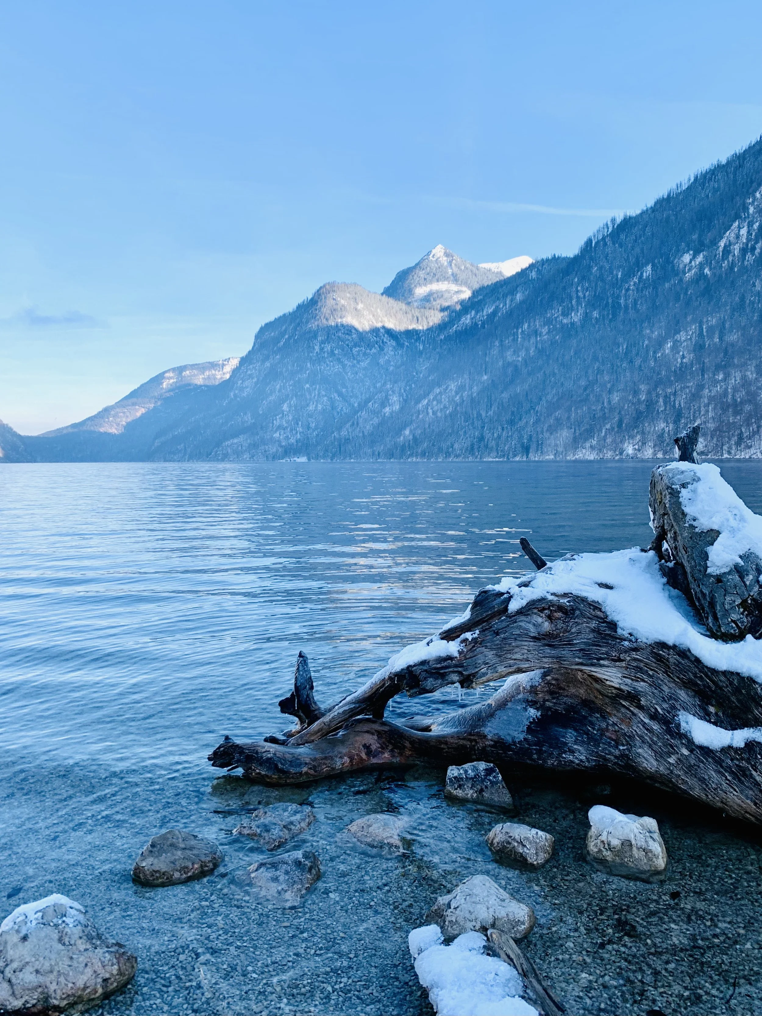 Ein See mit Bergen im Hintergrund und im Vordergrund eine mit Schnee bedeckte Wurzel am Ufer, umgeben von Steinen.