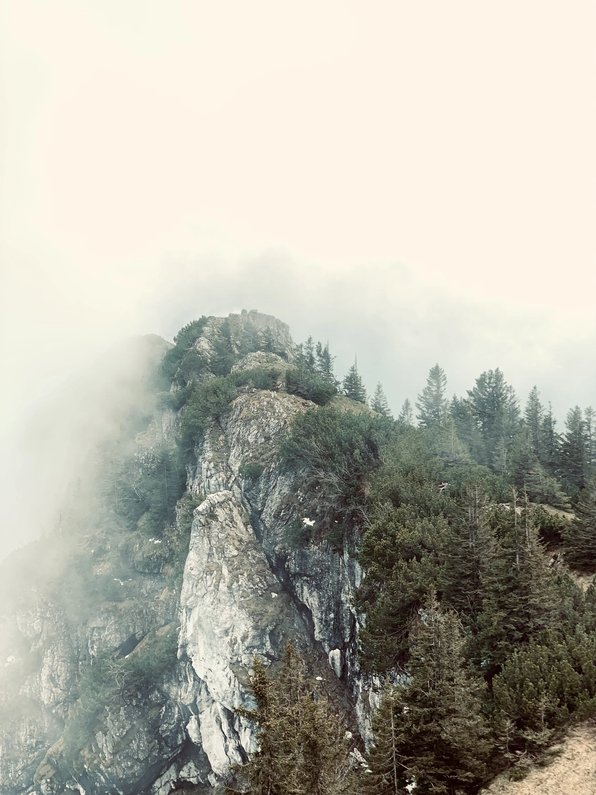 Felsformation im Gebirge, umgeben von dichten Nadelbäumen, teilweise umgeben von Nebel.