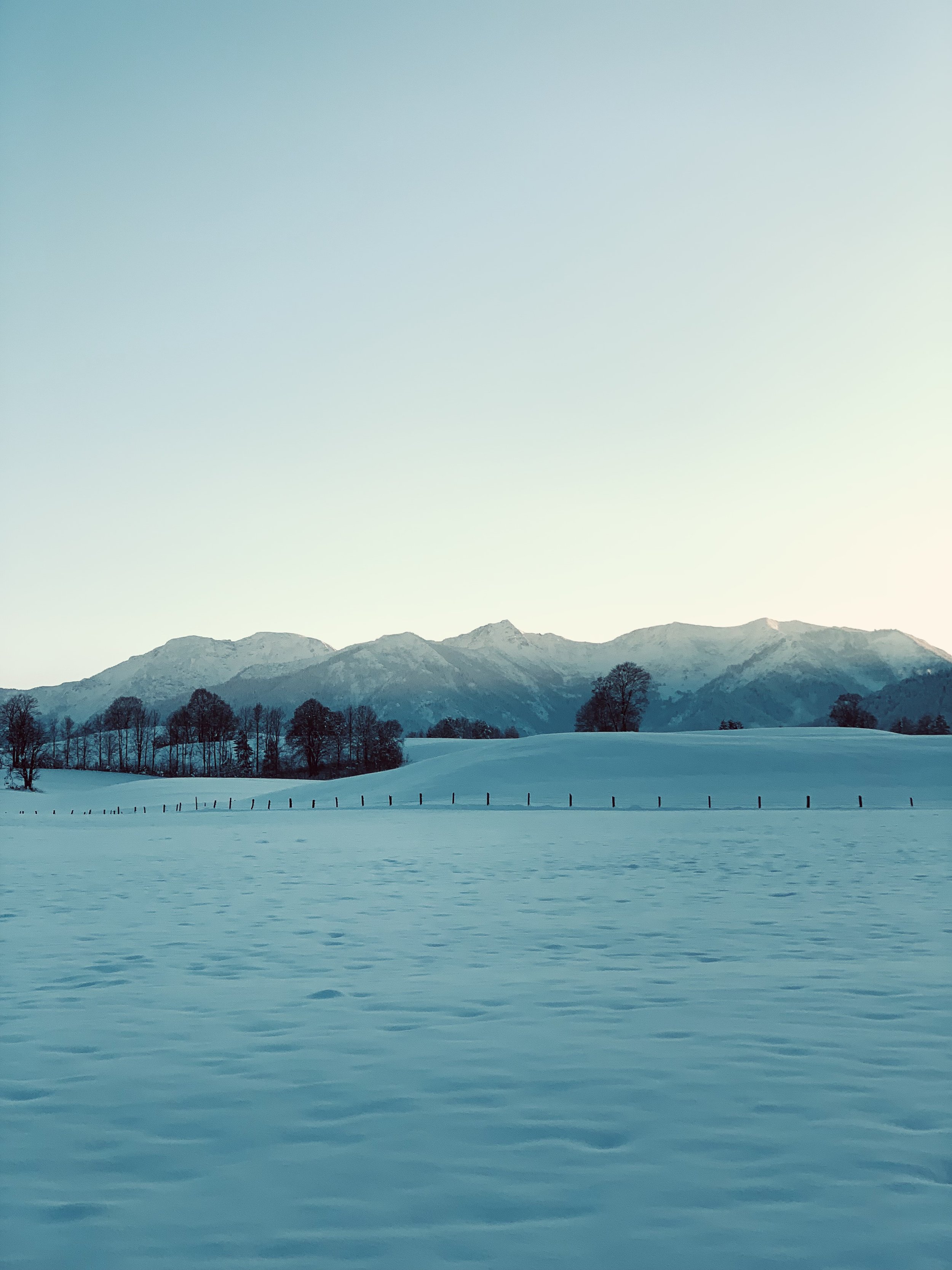 Schneebedecktes Feld mit Baumgruppen und Bergen im Hintergrund bei Sonnenaufgang