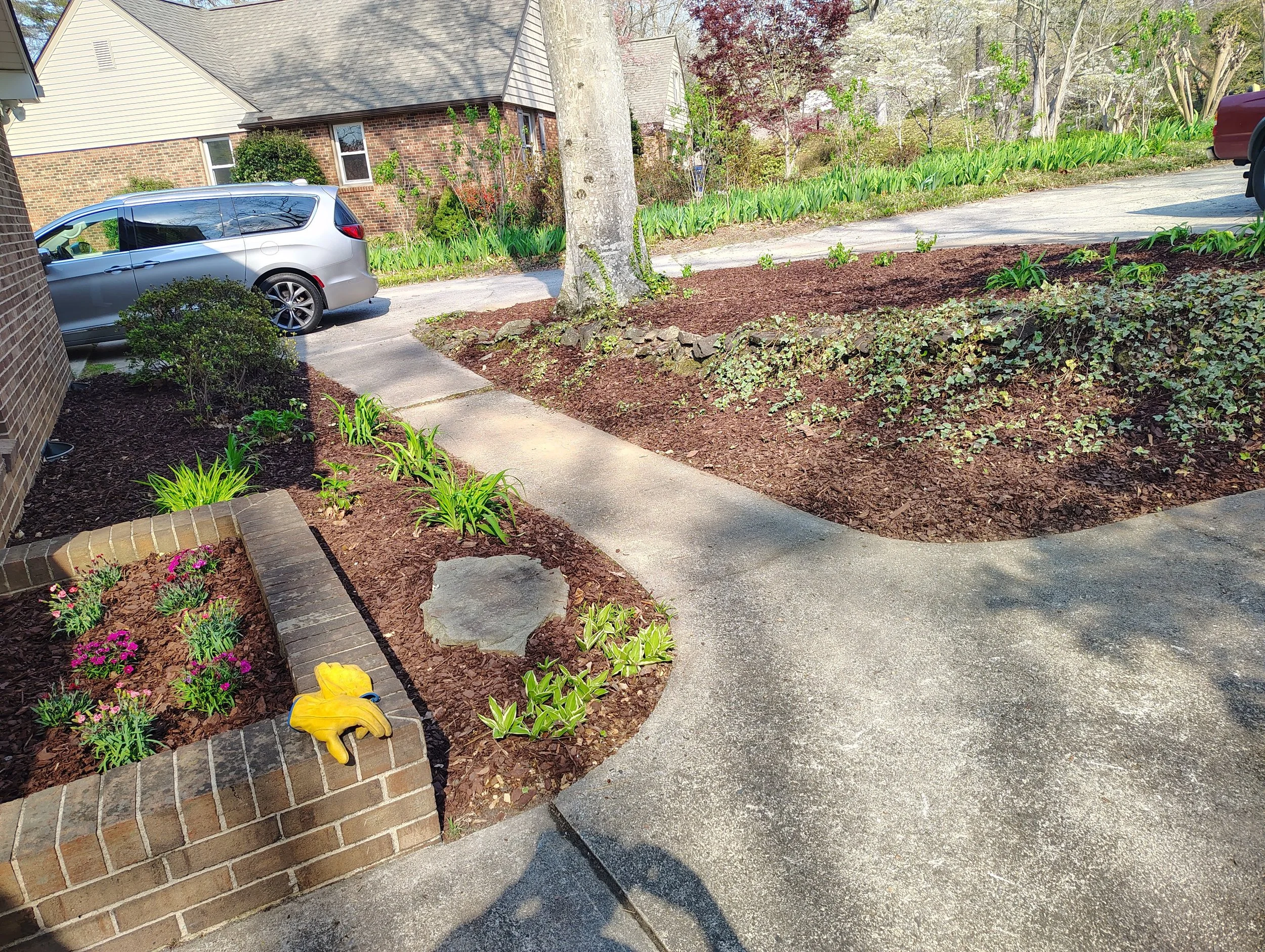 IMG_20260326_155734249_HDR.jpg