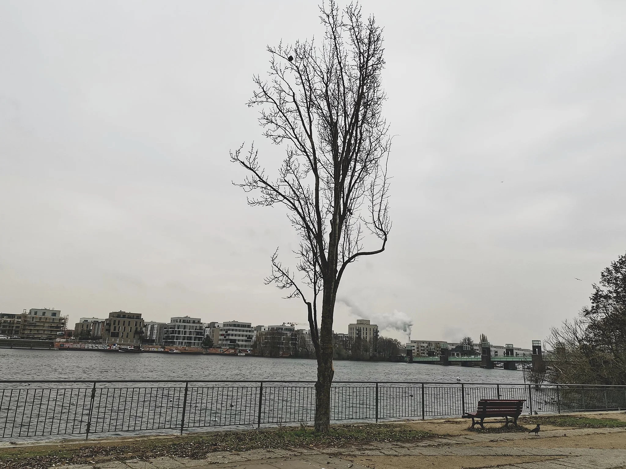 IMG_20201203_131610_web.jpg
