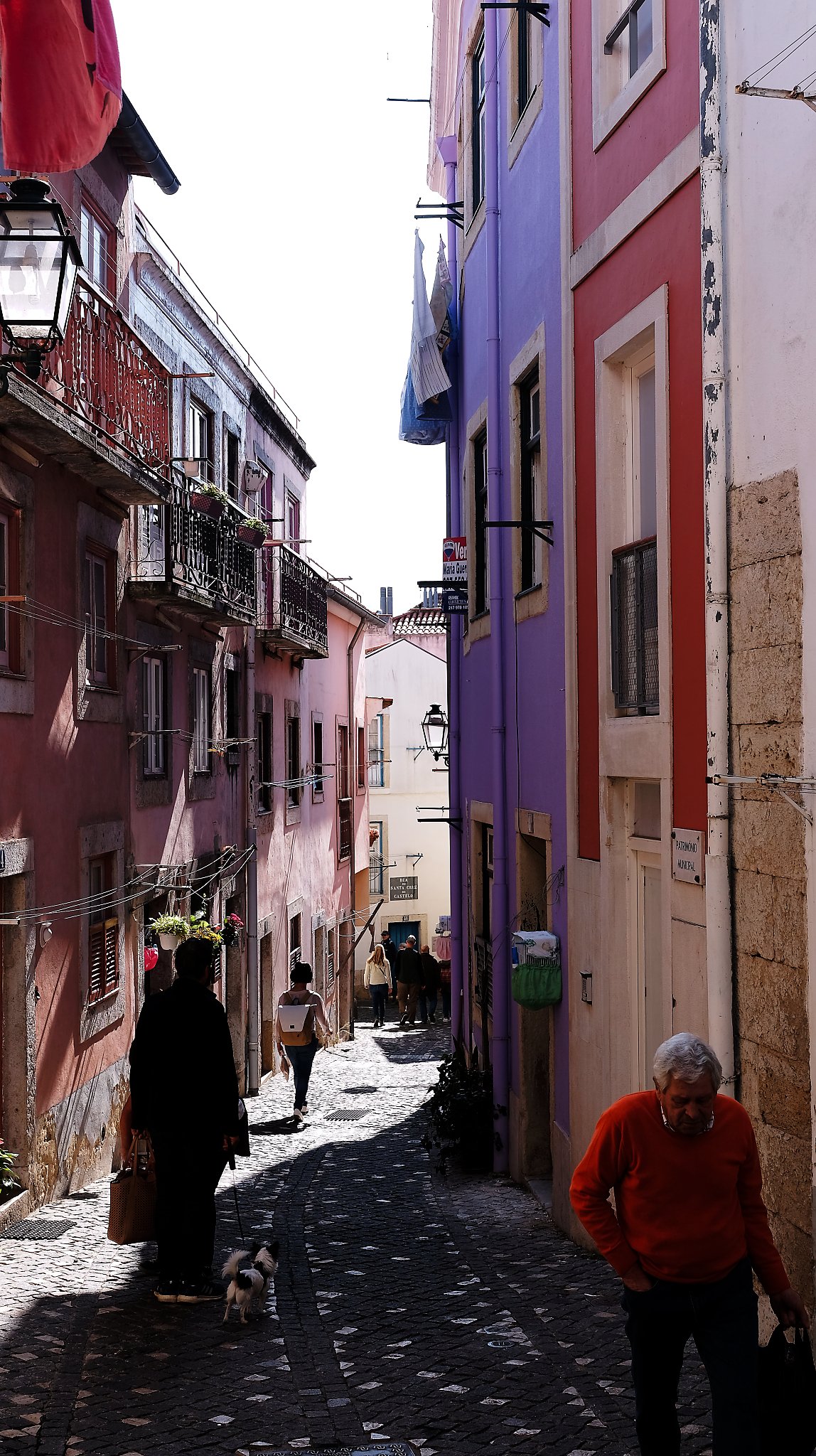 DSCF7564_lisboa18.jpg