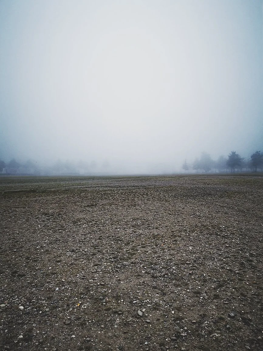 A foggy open field with visible dirt and small rocks, and a row of trees in the distance obscured by the fog.