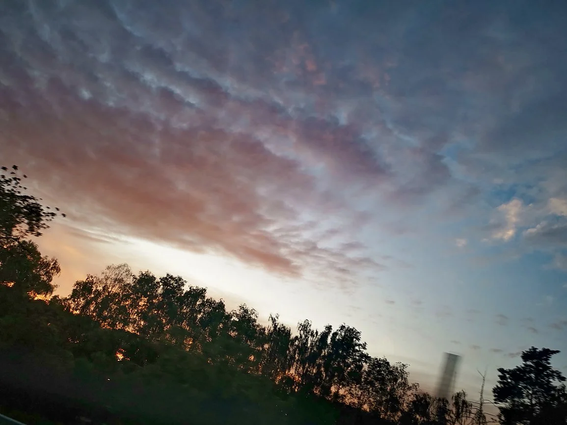 IMG_20230922_190448_web.jpg
