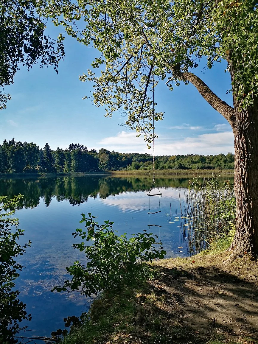 A peaceful lakeside scene with a tree in the foreground, a swing hanging from its branch, calm water reflecting the sky and surrounding trees, and a clear blue sky with a few clouds.