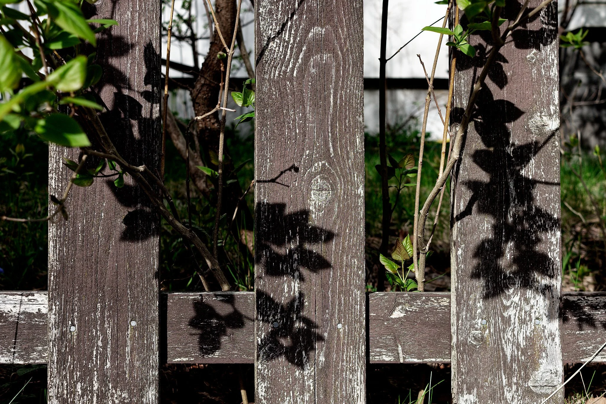 DSCF9726_web.jpg