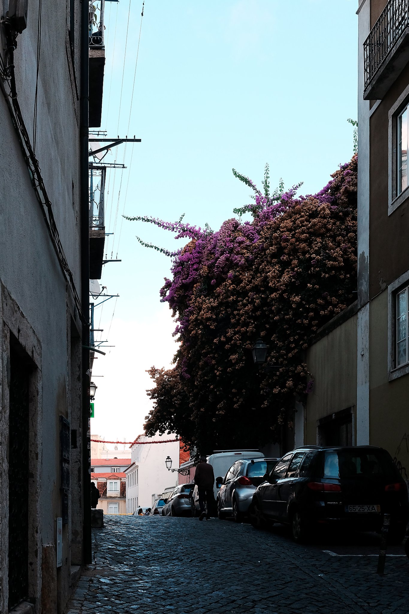 DSCF7102_lisboa18.jpg