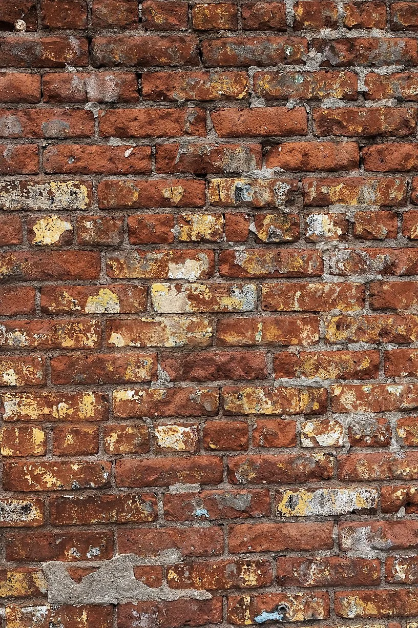 Close-up photograph of an old brick wall with weathered, uneven bricks that have patches of yellow and white paint and signs of moss or lichen growth.