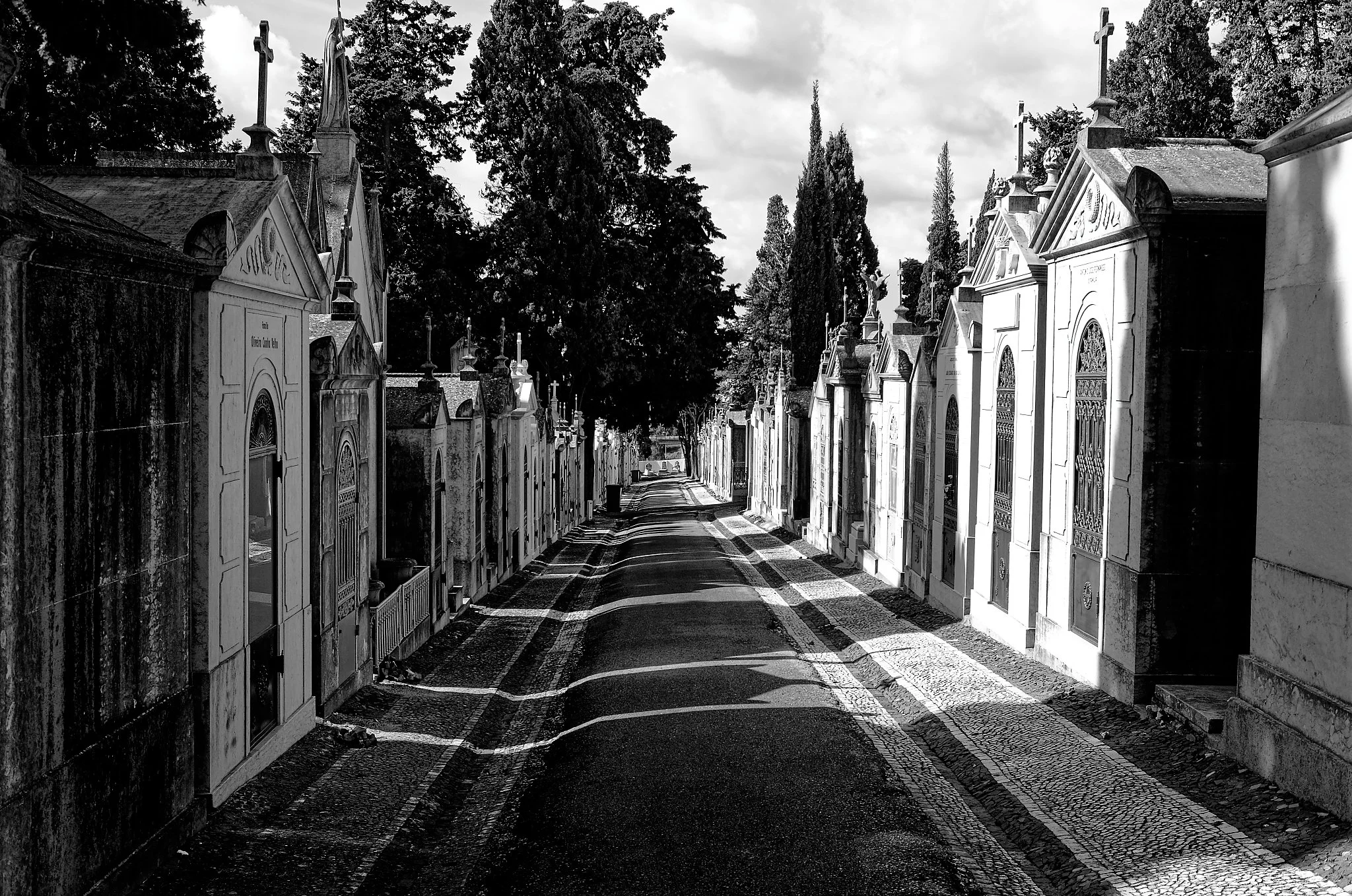 DSCF7247_lisboa18.jpg