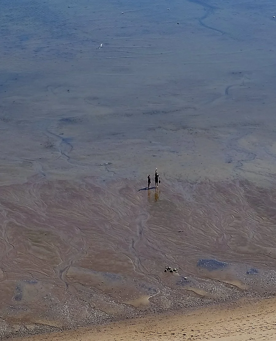To personer avsiktlig eller uvitende går i vannkanten på en strand, med lavvann eller tidevann som har etterlatt sivaksler og slikt i vannkanten.