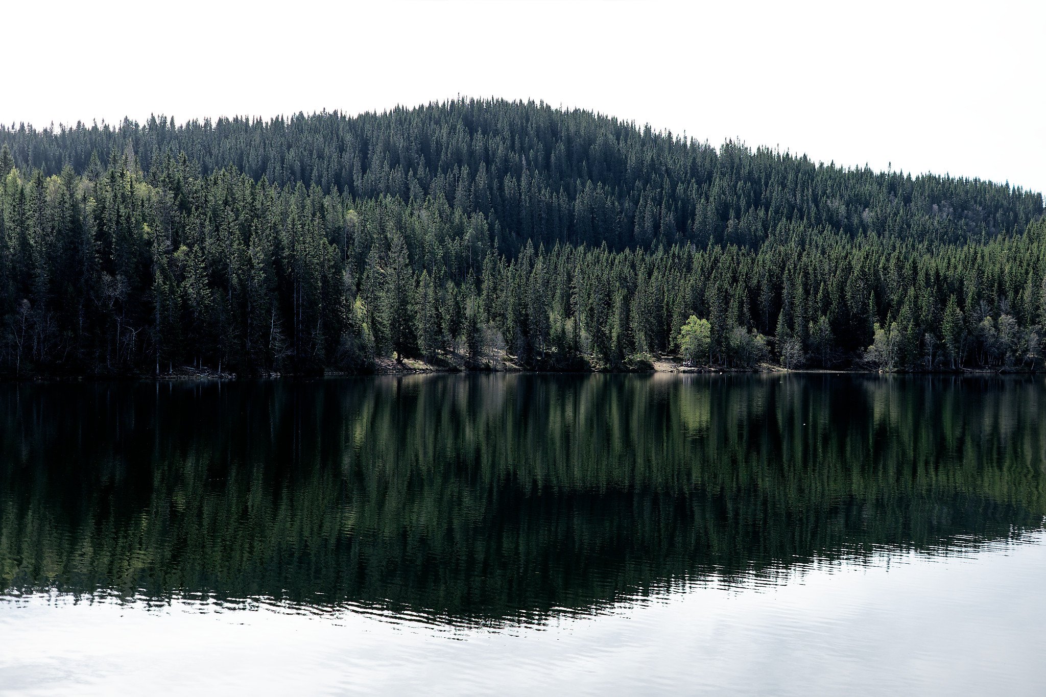 DSCF9711_web.jpg