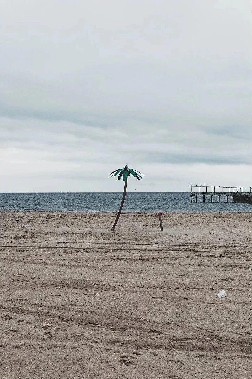 Empty beach with a decorative palm tree and a pier in the background, overcast sky