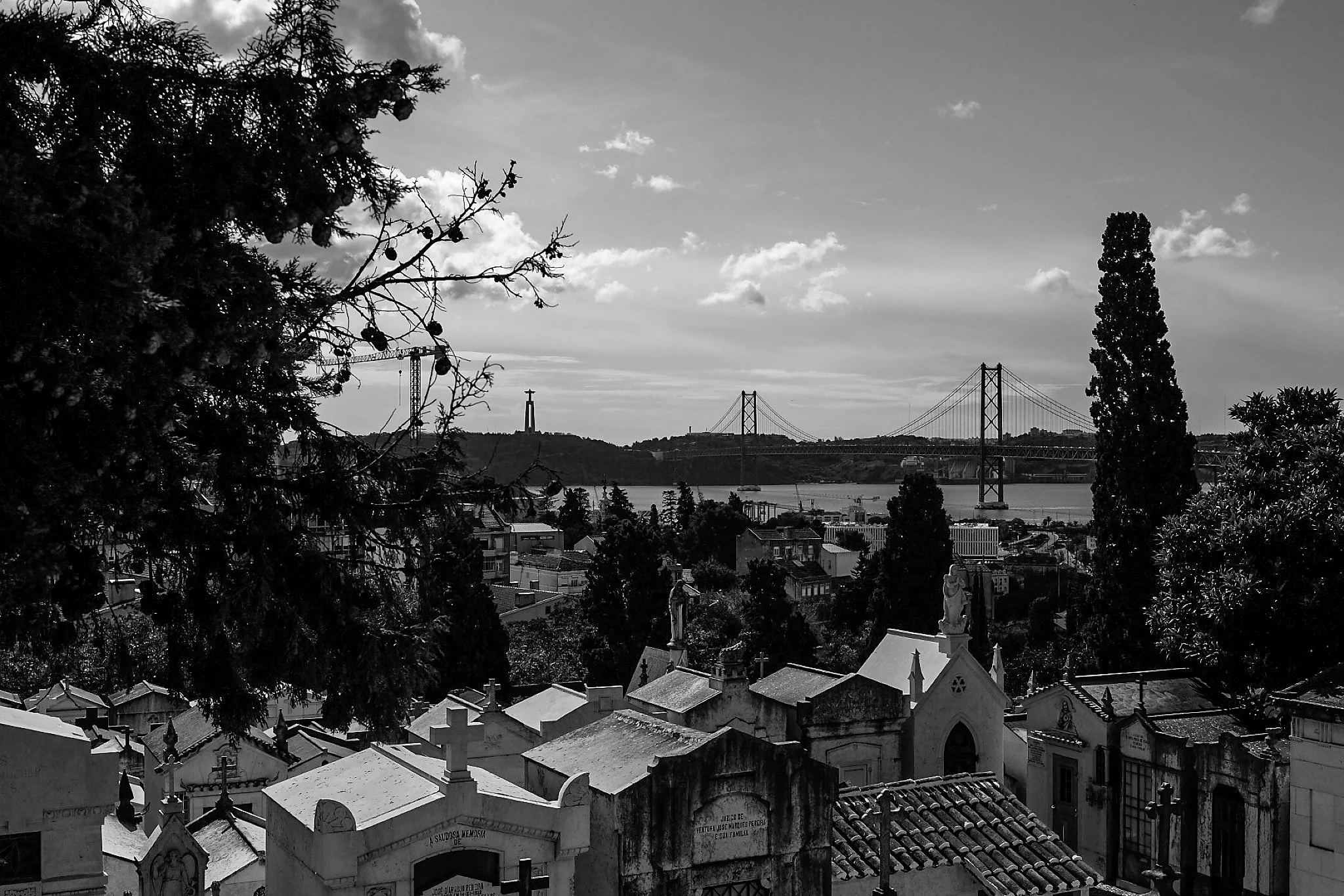 2019_1023_23581300_edited_lisboa18.jpg