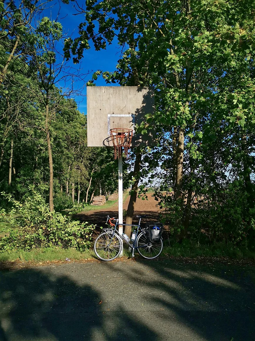 A basketball hoop without a net mounted on a pole, surrounded by trees and blue sky, with a bicycle parked at its base.