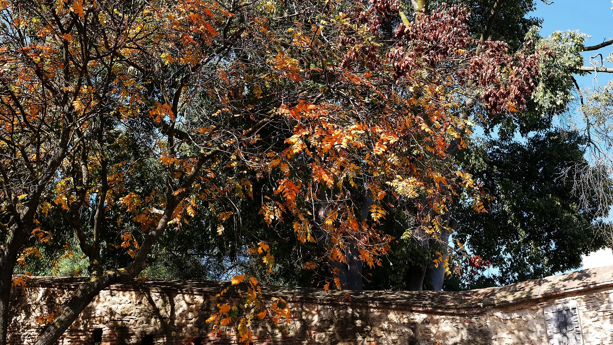 DSCF7561_lisboa18.jpg