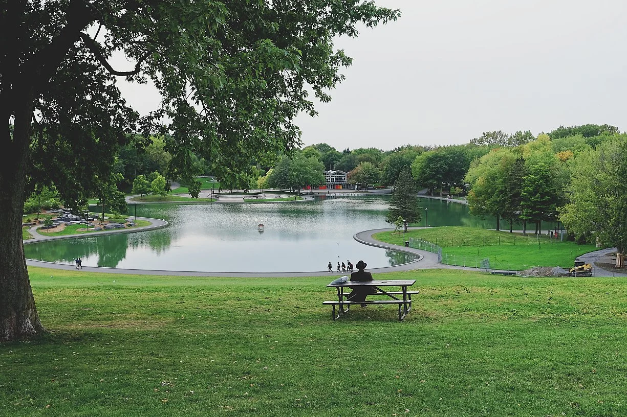 Person sitting on a bench overlooking a pond in a park surrounded by green trees and grass, with people walking along the paths.