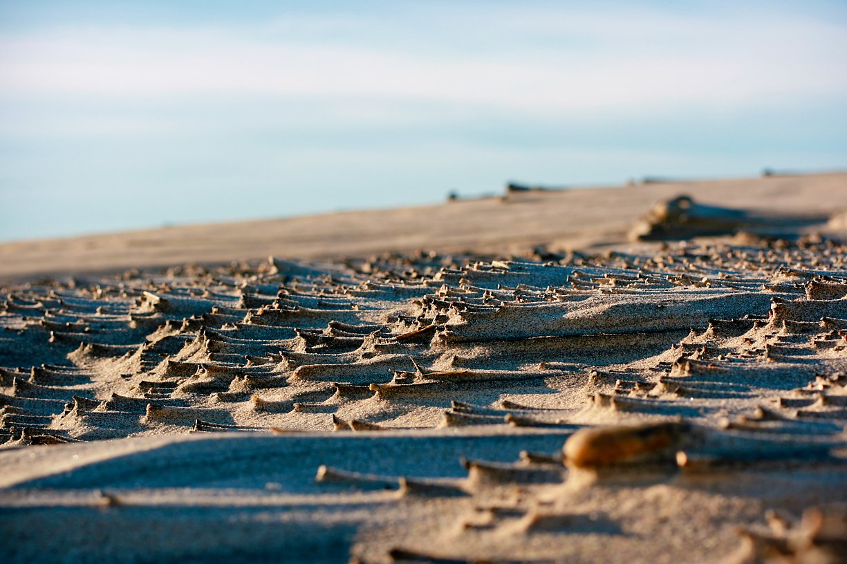 Close-up view of sand with footprints and stress marks at the beach, with calm blue water and sky in the background.
