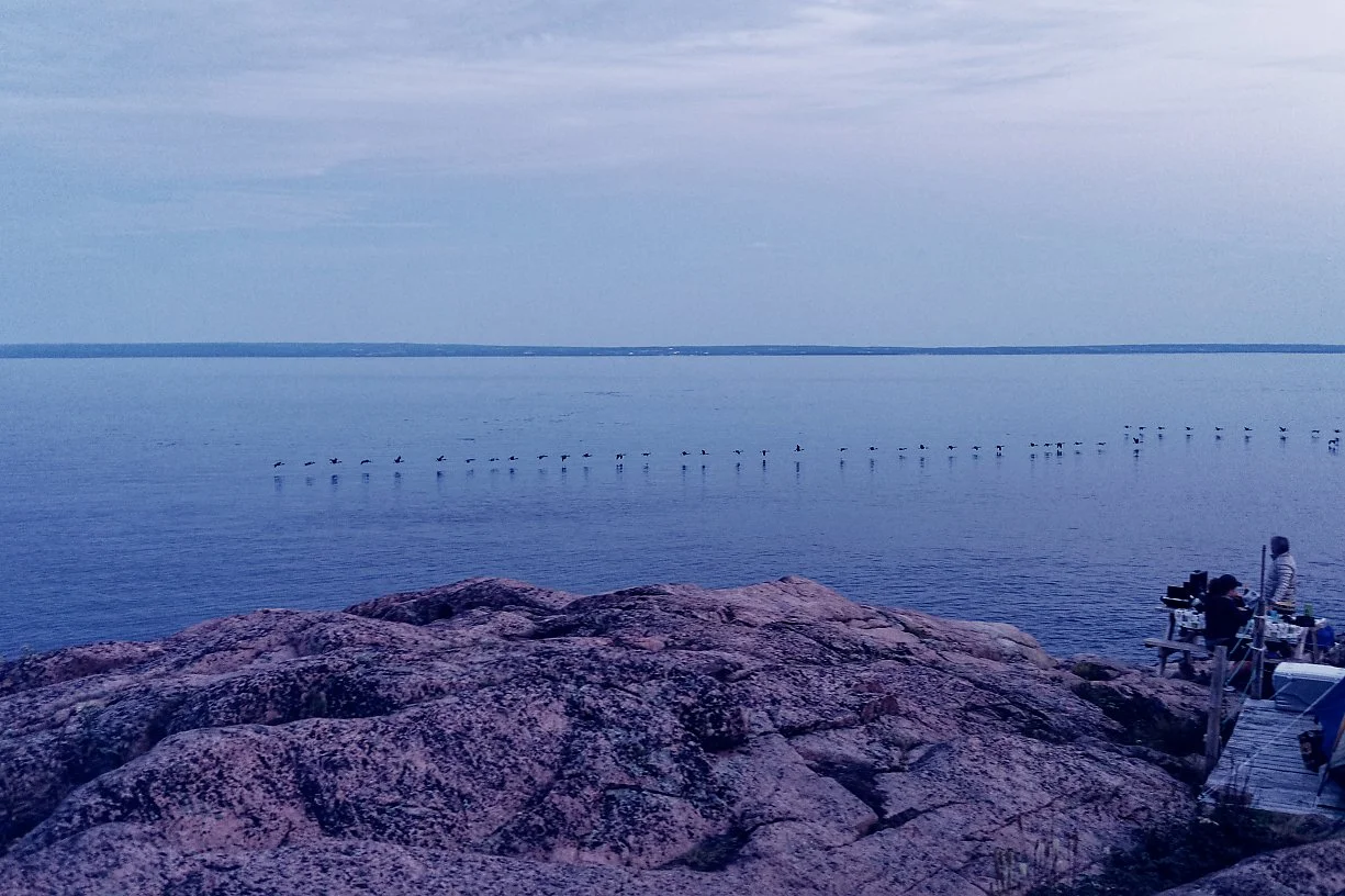 Bilde av en rolig sjø med fugler som svømmer i rekker, store steiner i forgrunnen, og et lite utendørs område med personer som ser ut til å forberede mat eller utstyr.