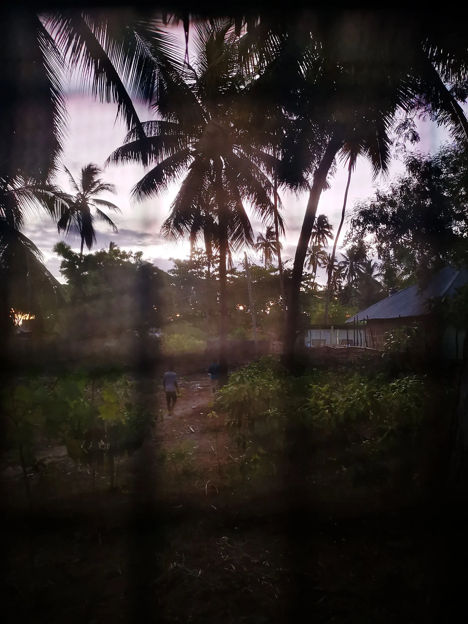 lost in zanzibar