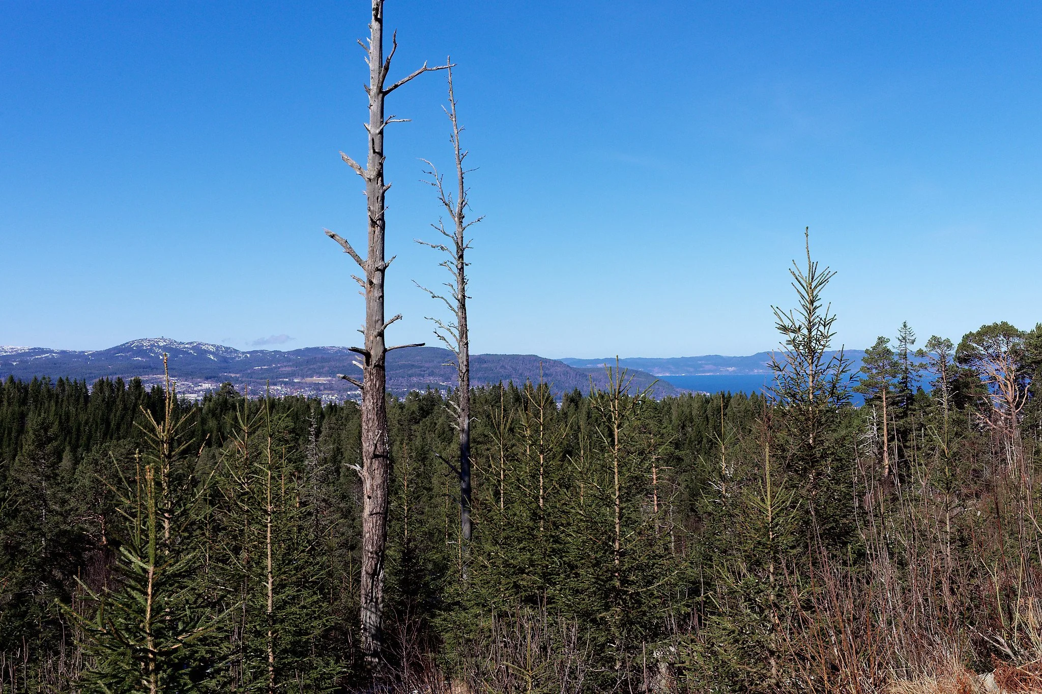 DSCF9675_web.jpg