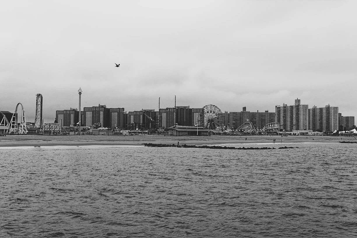 View of an amusement park near a beach with a city skyline in the background, including rides like a Ferris wheel, a roller coaster, and a drop tower, under an overcast sky.
