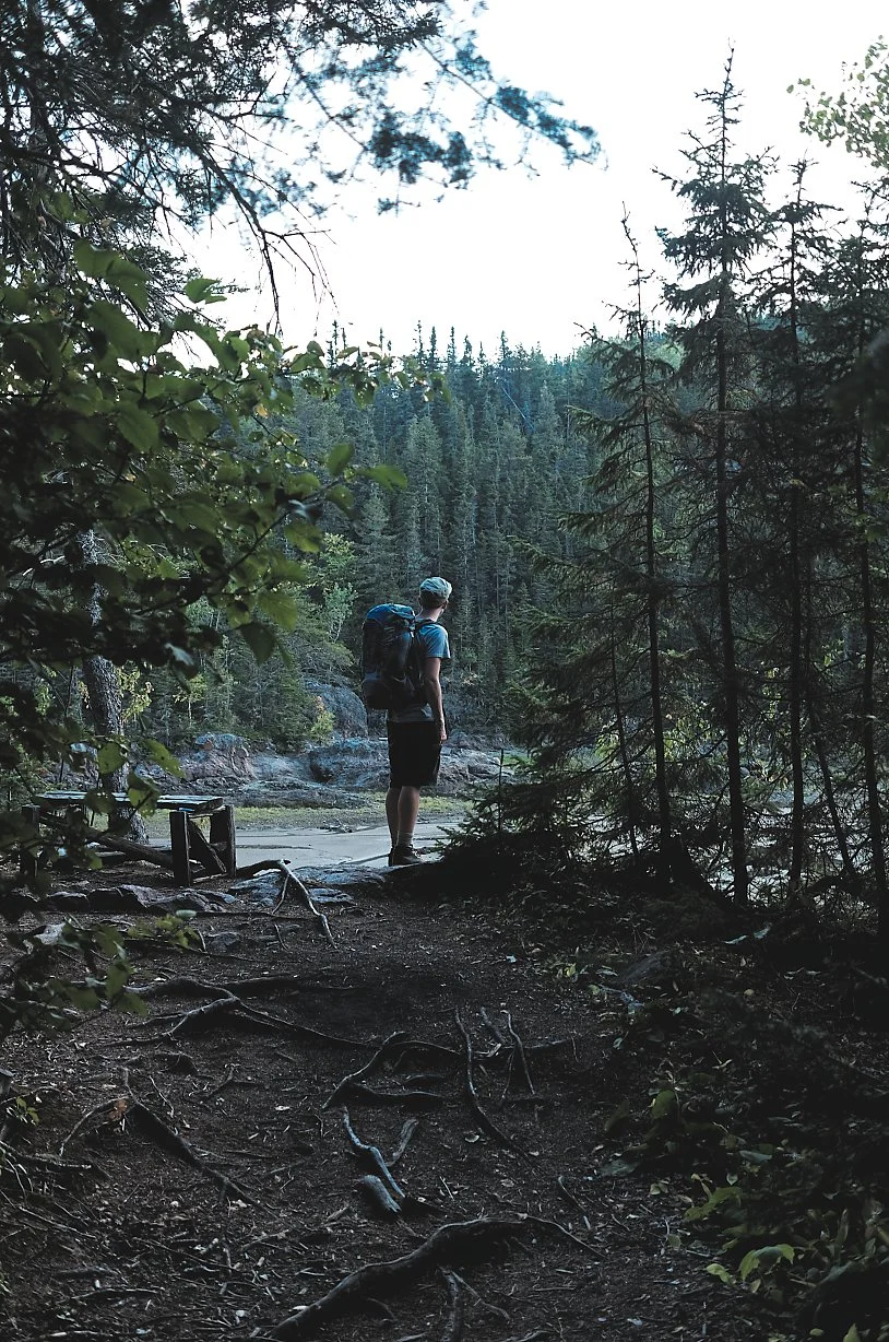 En person med ryggsekk står på en sti i en tett skog, omringet av høye trær, og ser utover naturen.