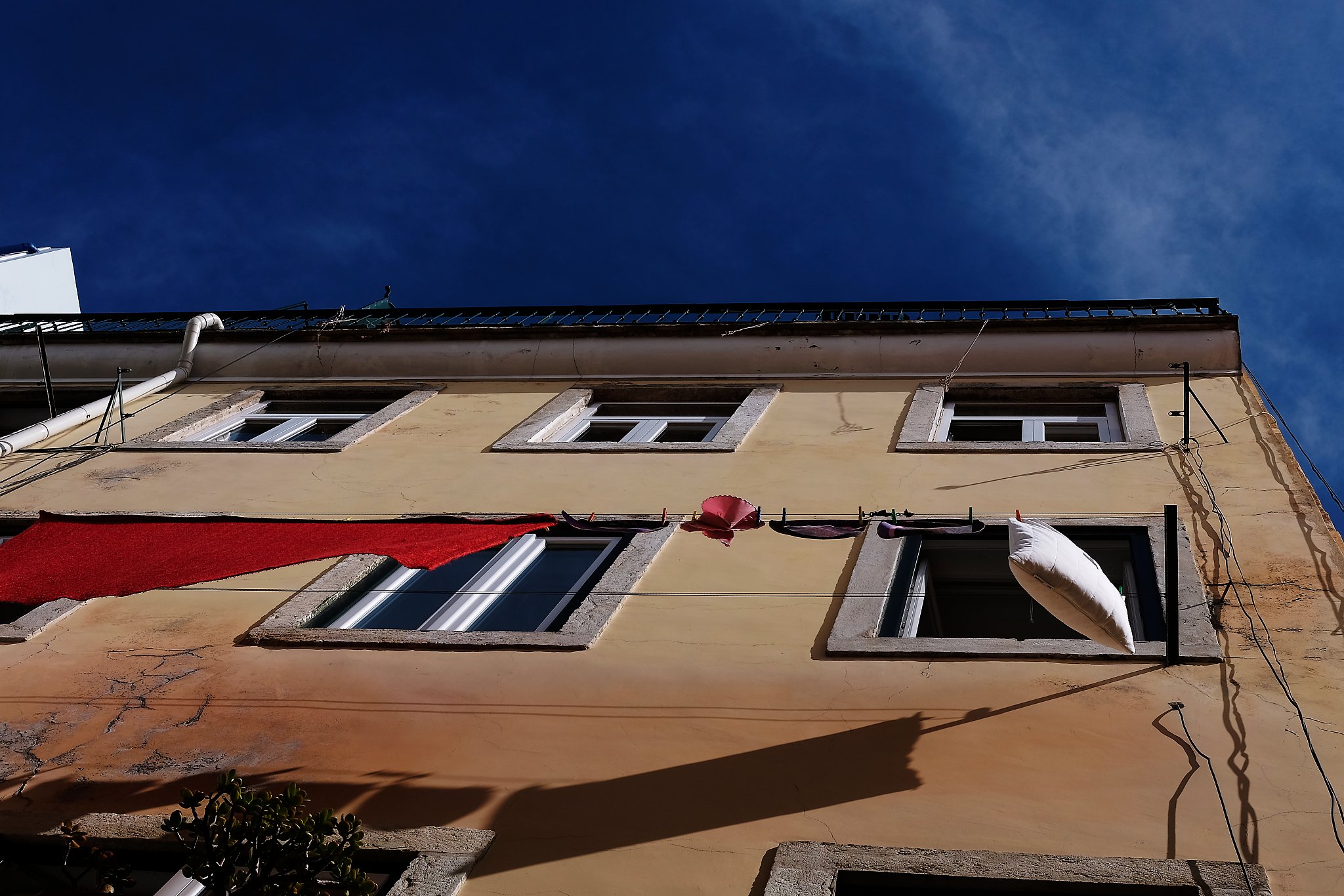 DSCF7285_lisboa18.jpg