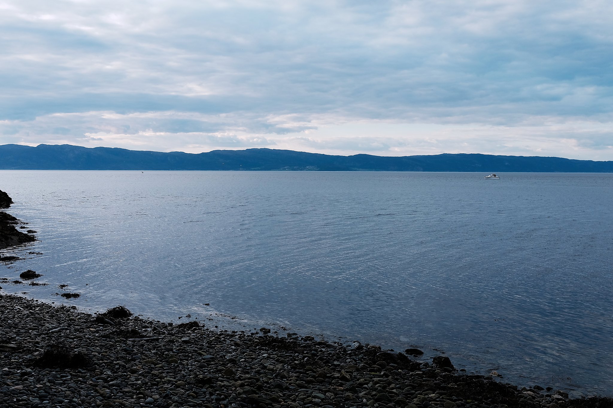 DSCF9910_web.jpg