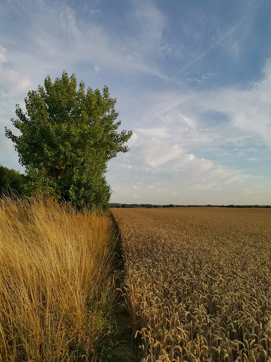 IMG_20220803_200944_web.jpg