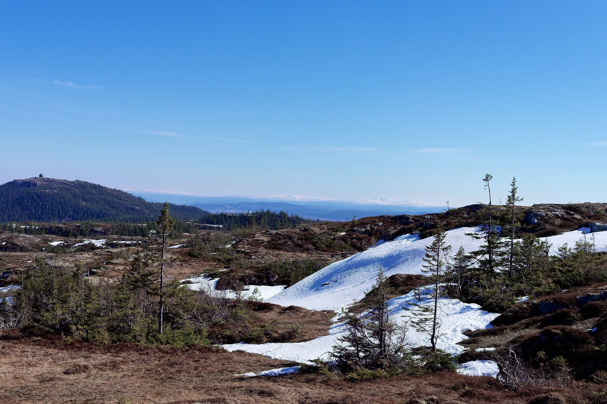 DSCF9691_web.jpg