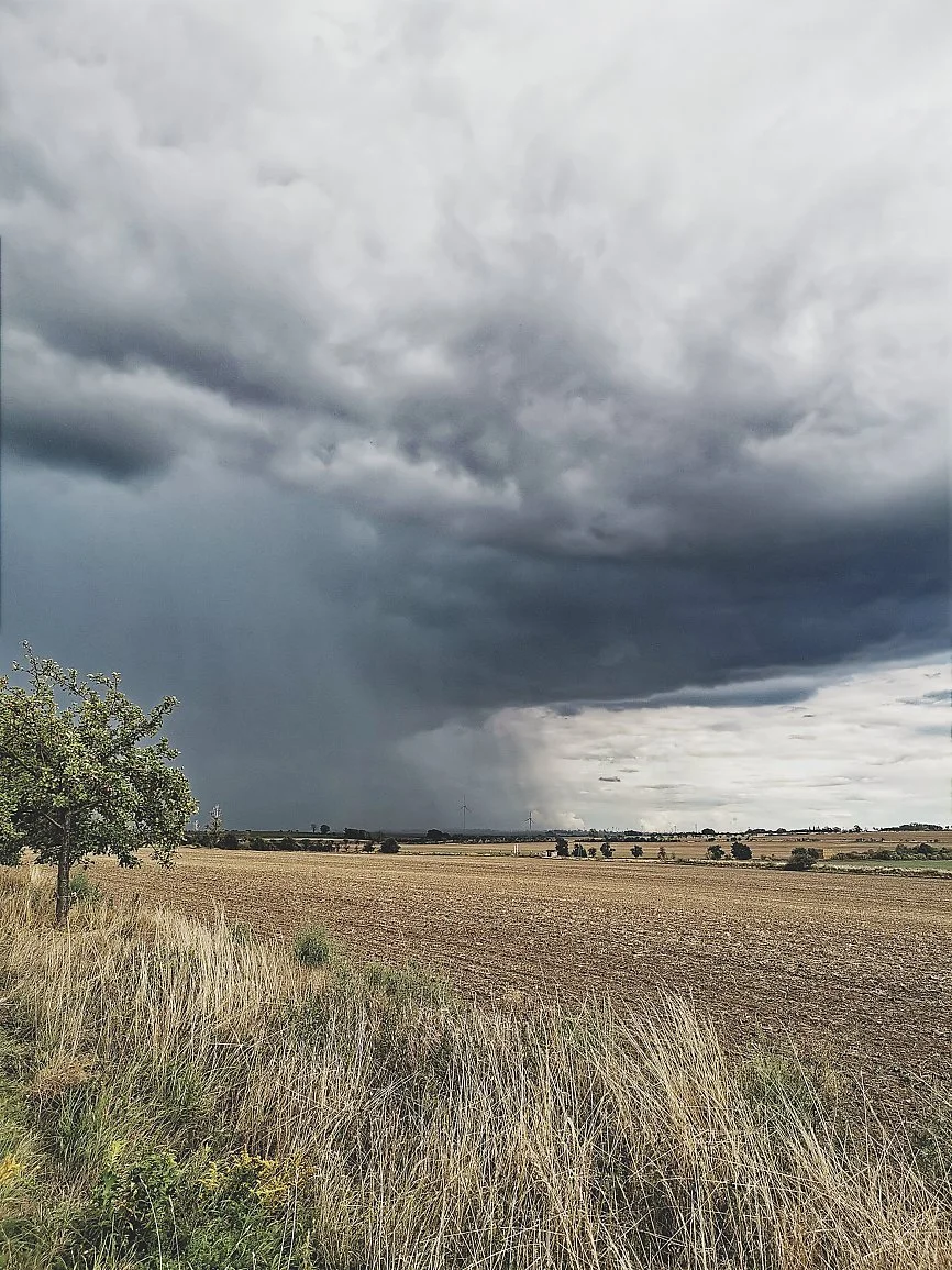 View of a field under dark storm clouds with rain in the distance and a few wind turbines on the horizon.