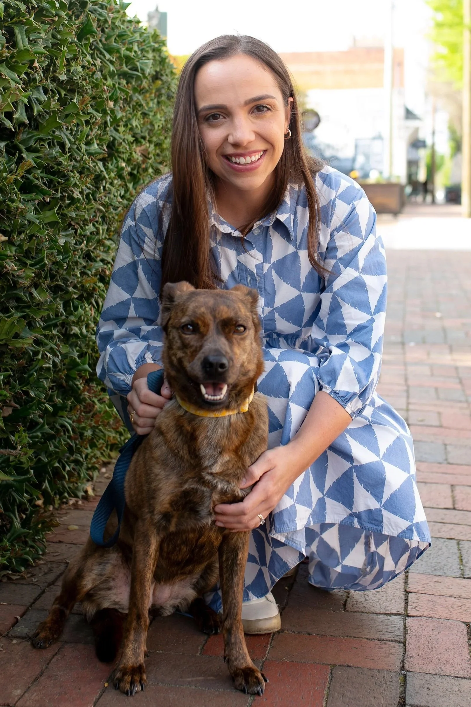 A woman with long brown hair, wearing a blue and white patterned dress, crouching beside a small brown and black brindle dog with a yellow collar, both smiling outdoors on a sidewalk with green bushes and blurred buildings in the background.