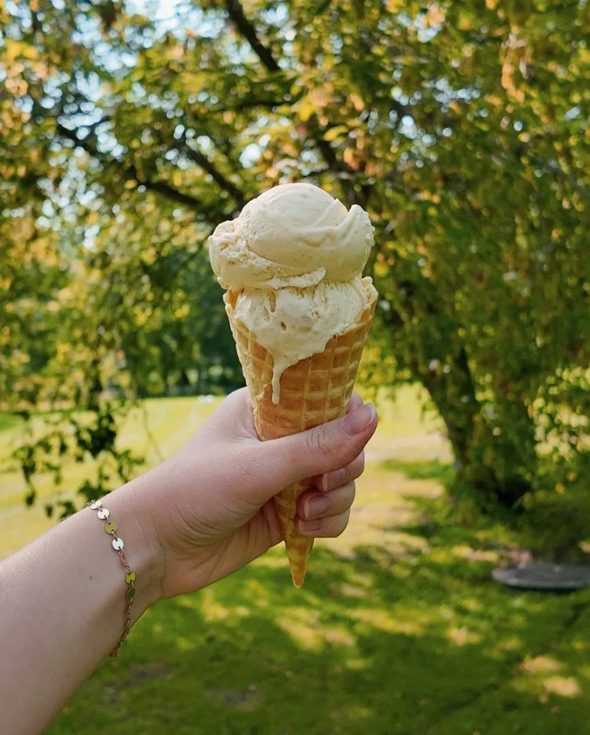 A hand holding an ice cream cone with two scoops, set outdoors with trees and a grassy area in the background.