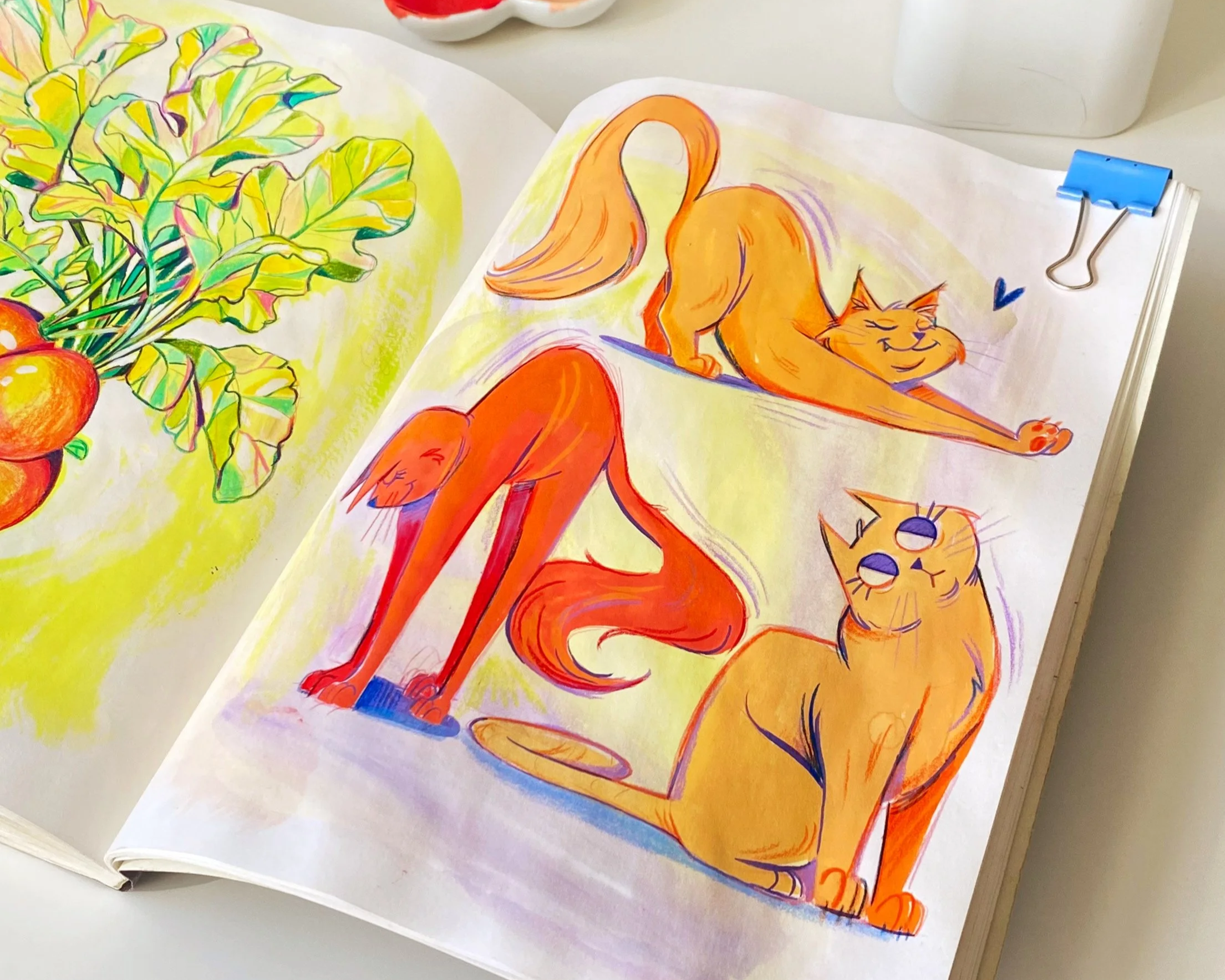 cats.png