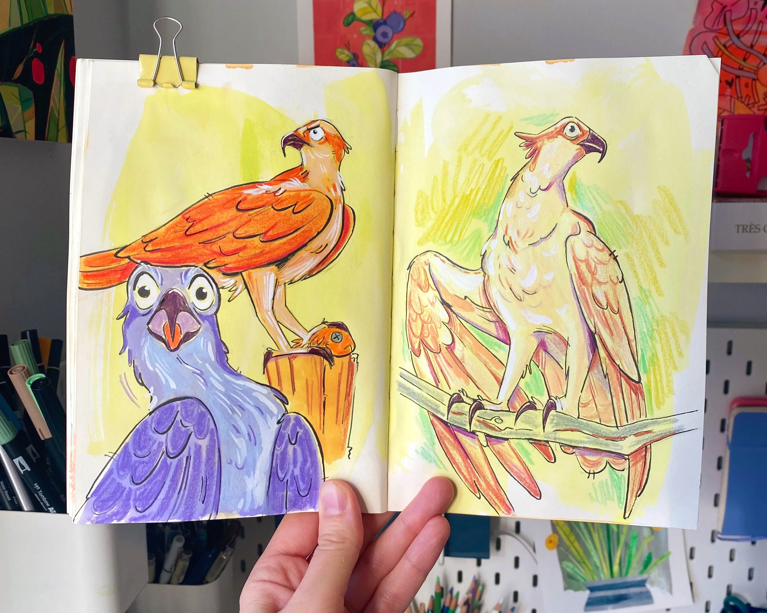 lizlapointe_osprey.png