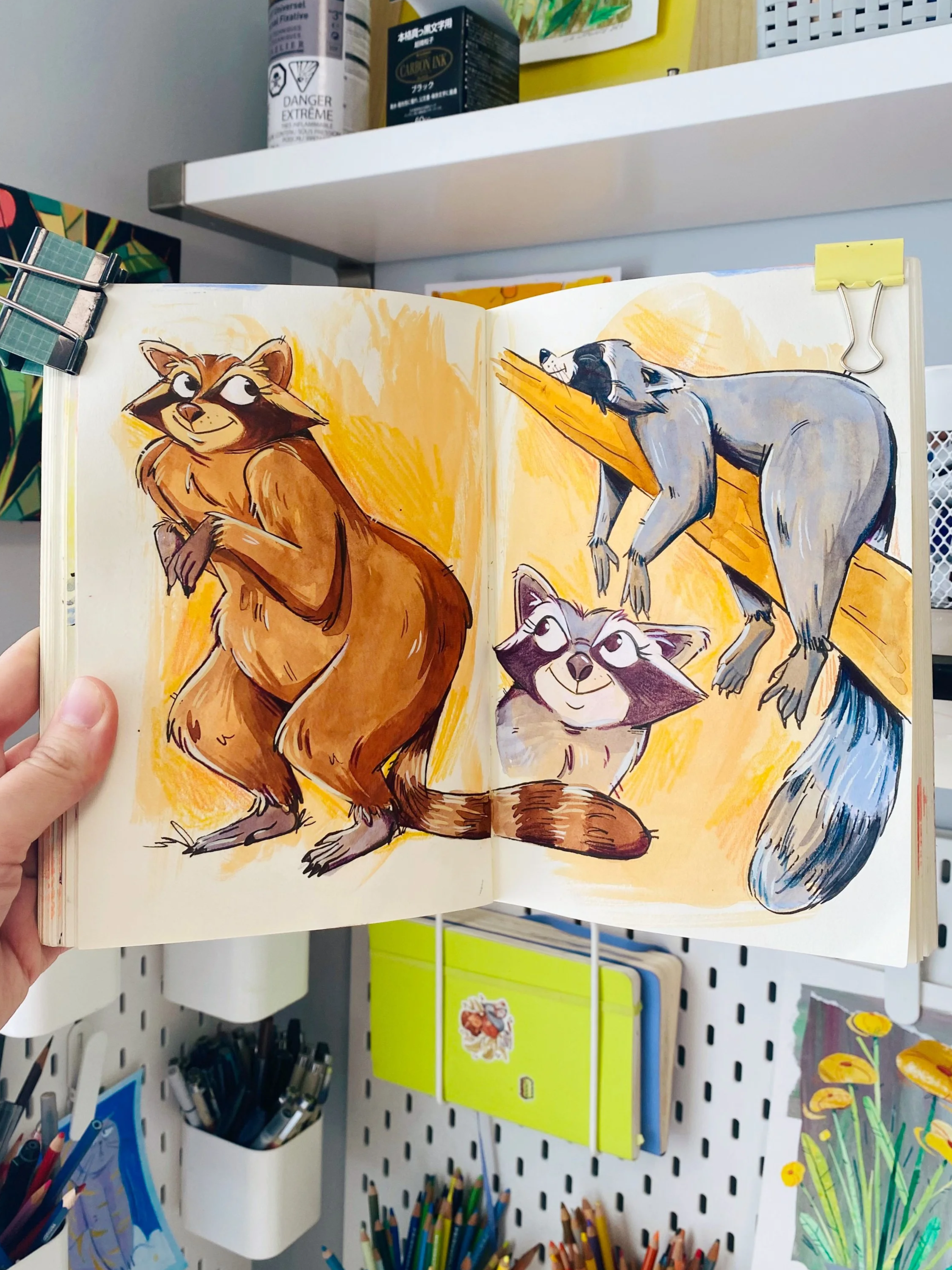 sketchbook_lizlapointe_racoons.png