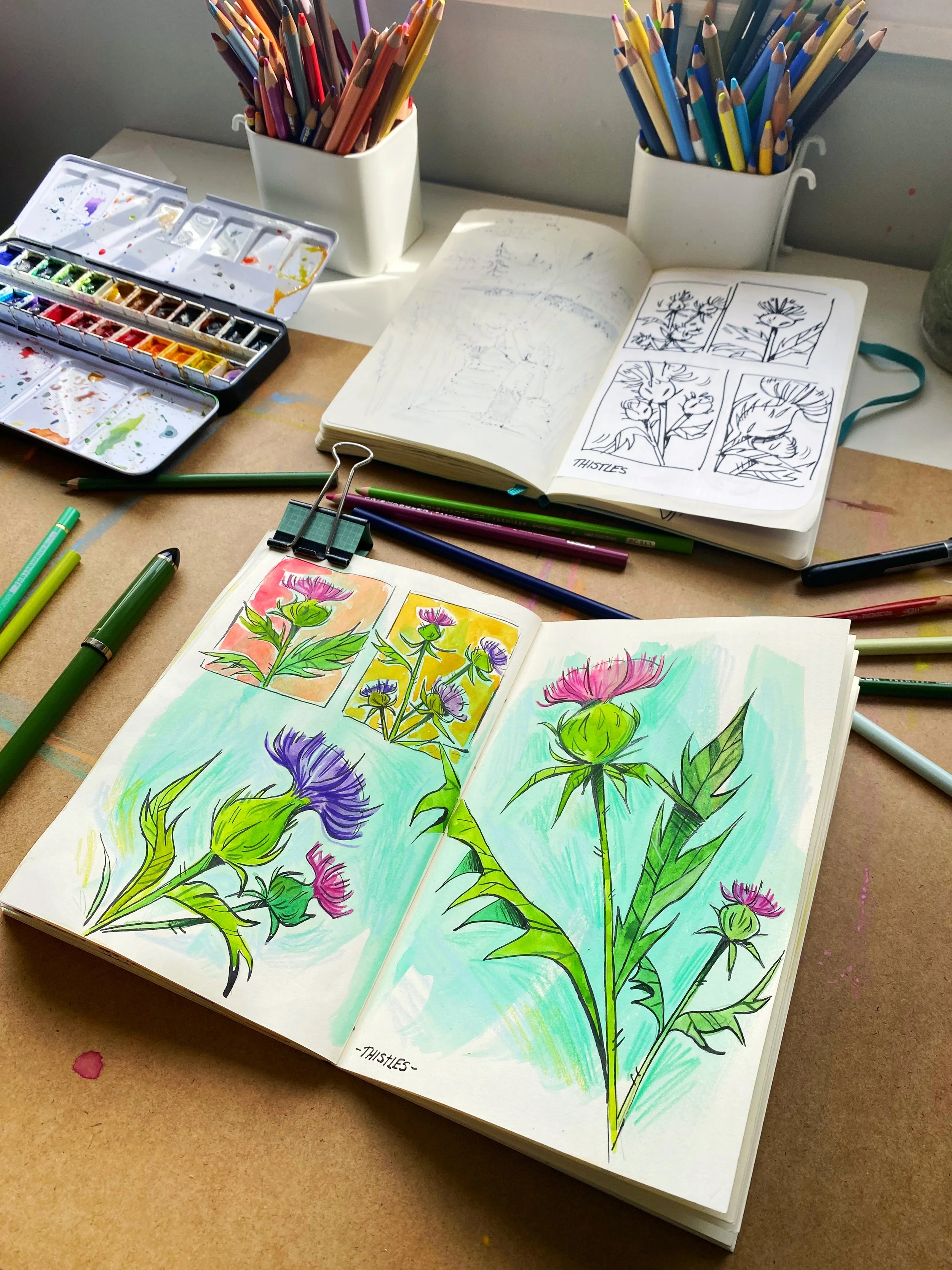 lizlapointe_thistles.JPG
