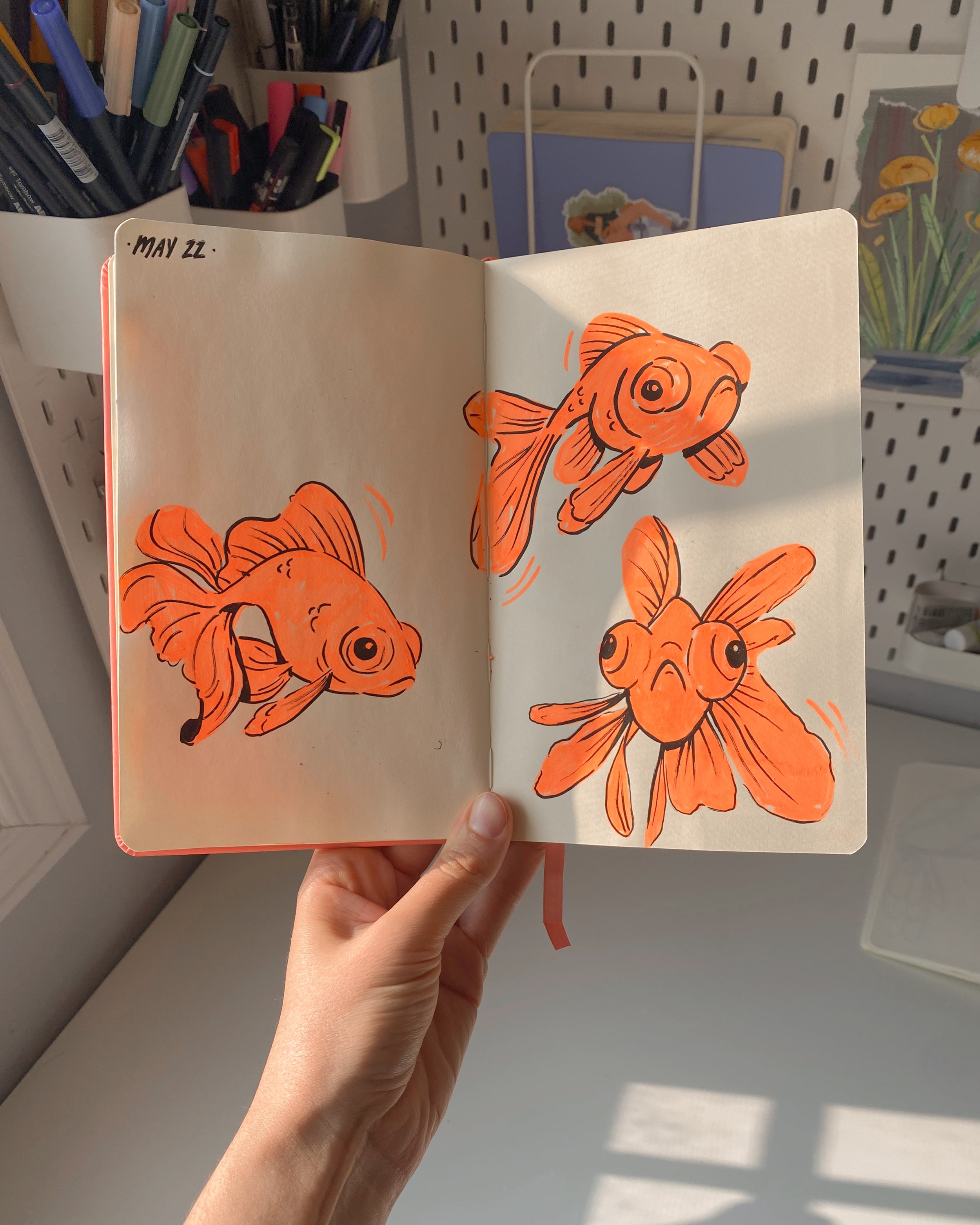 lizlapointe_goldfish.JPG
