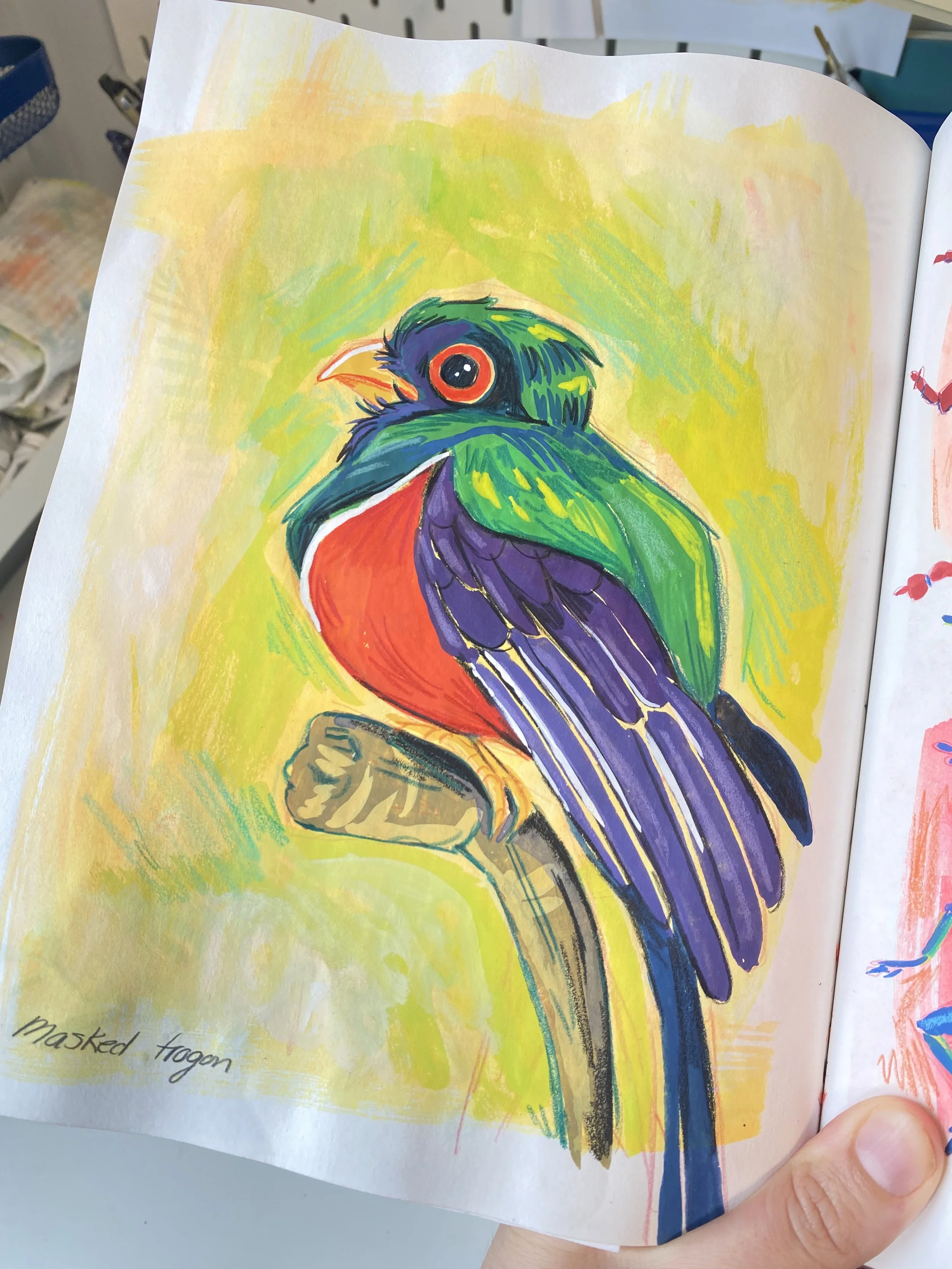 sketchbook_lizlapointe_bird.jpeg