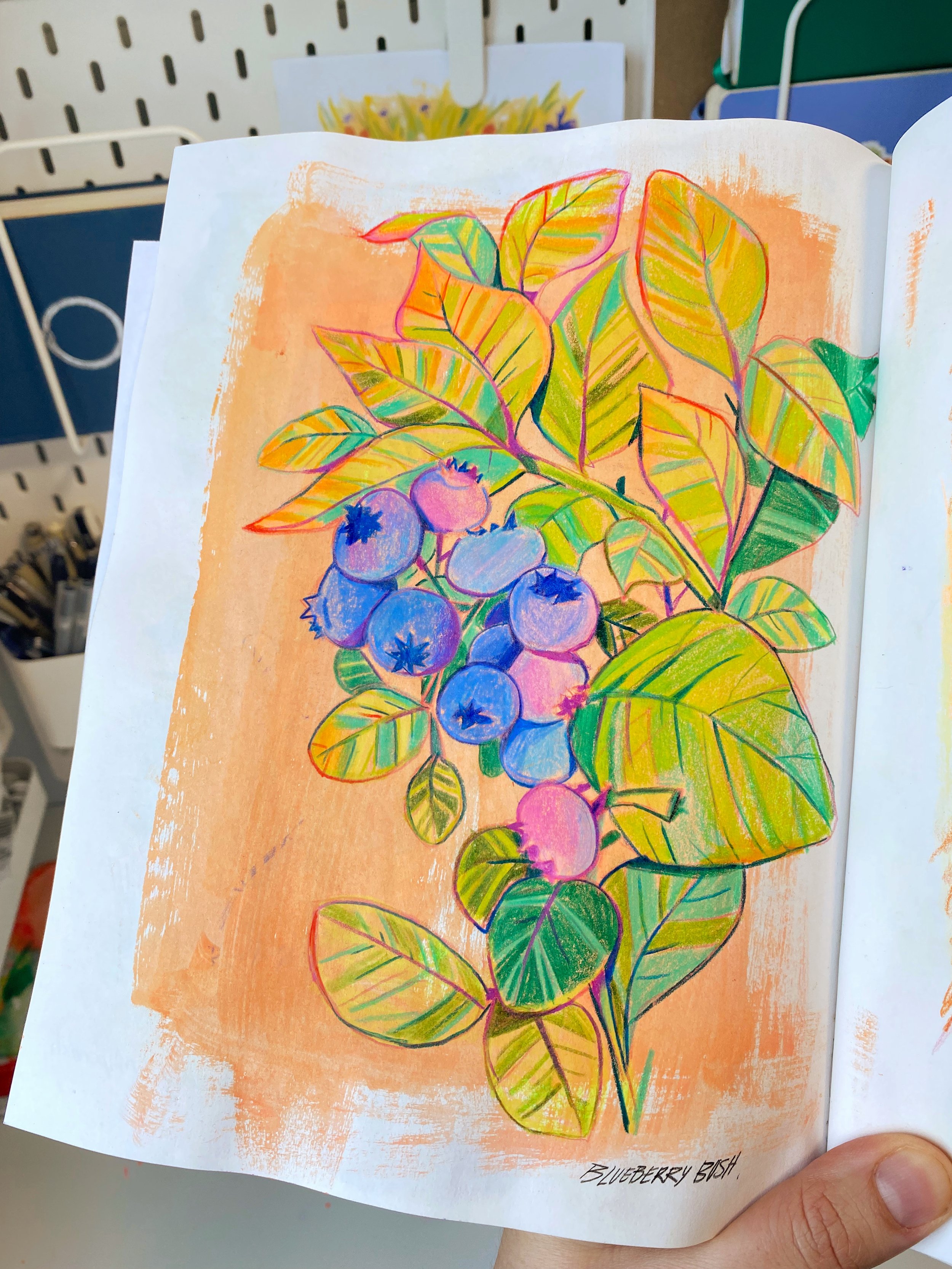 blueberries.JPG