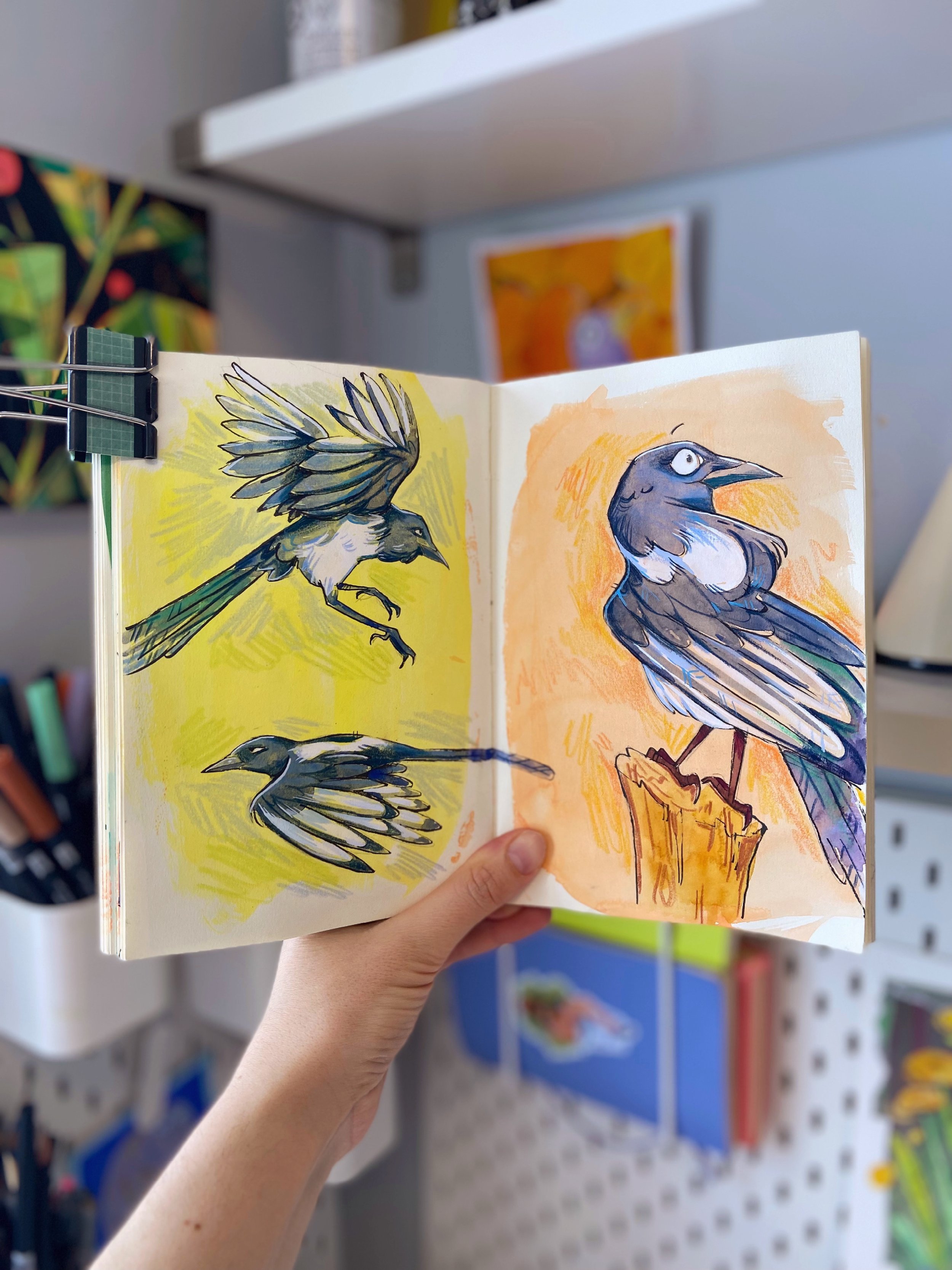 lizlapointe_magpies.JPG