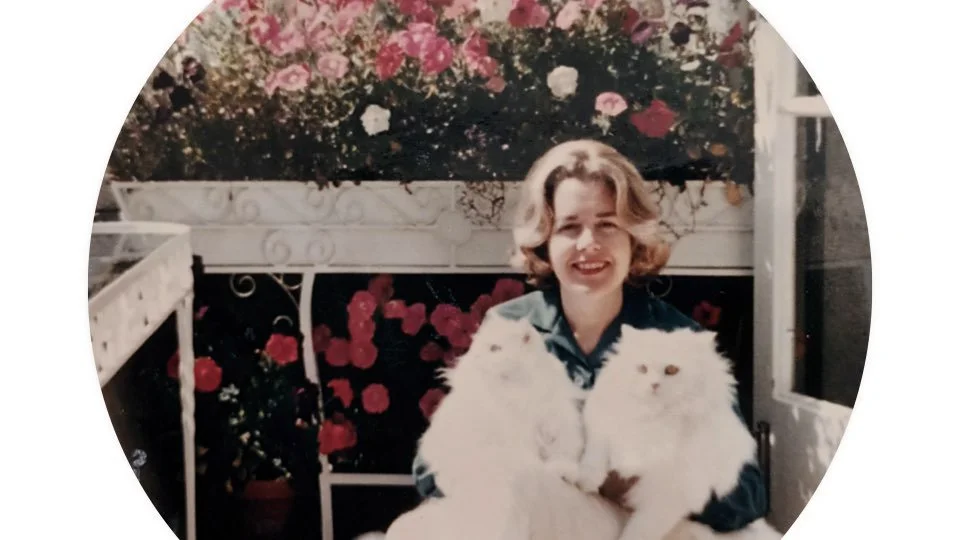 TCS Presentation 270226 A.020.jpeg