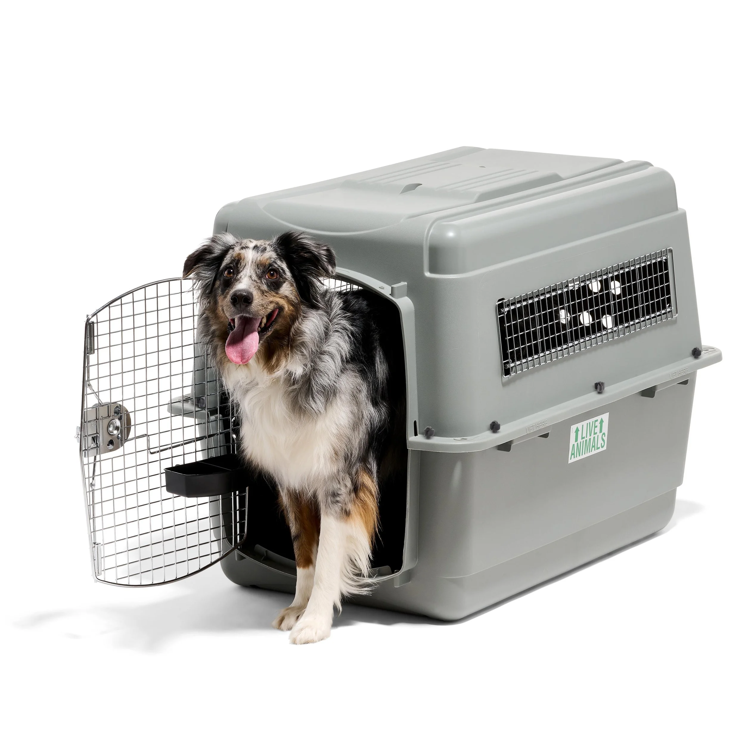 400_B003E77OG4_PM_Sky Kennel, 36 Inch_Nectar.jpg