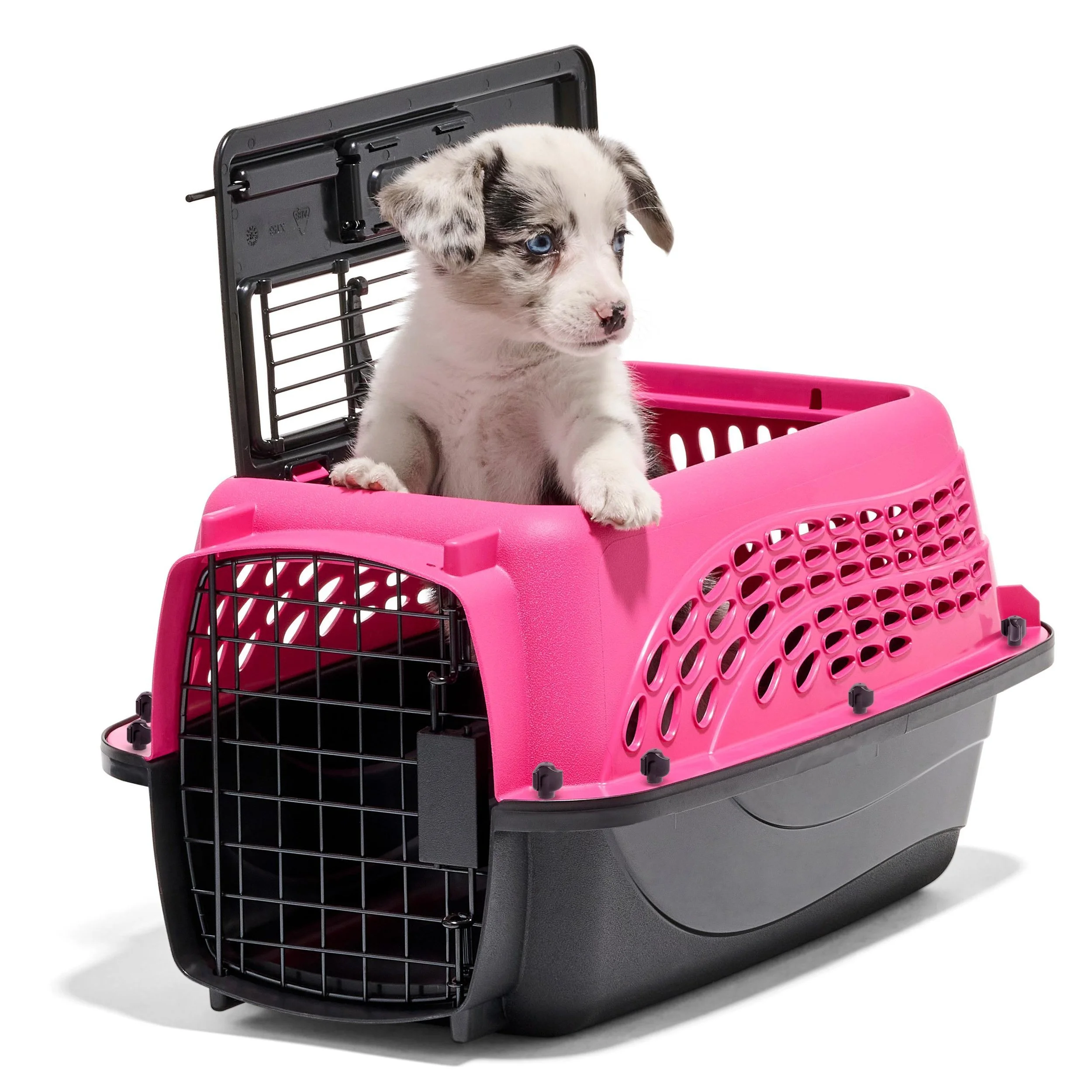21227_B0062JFGKW_PM_2 Door Dog & Cat, Hot Pink and Black_Nectar.jpg