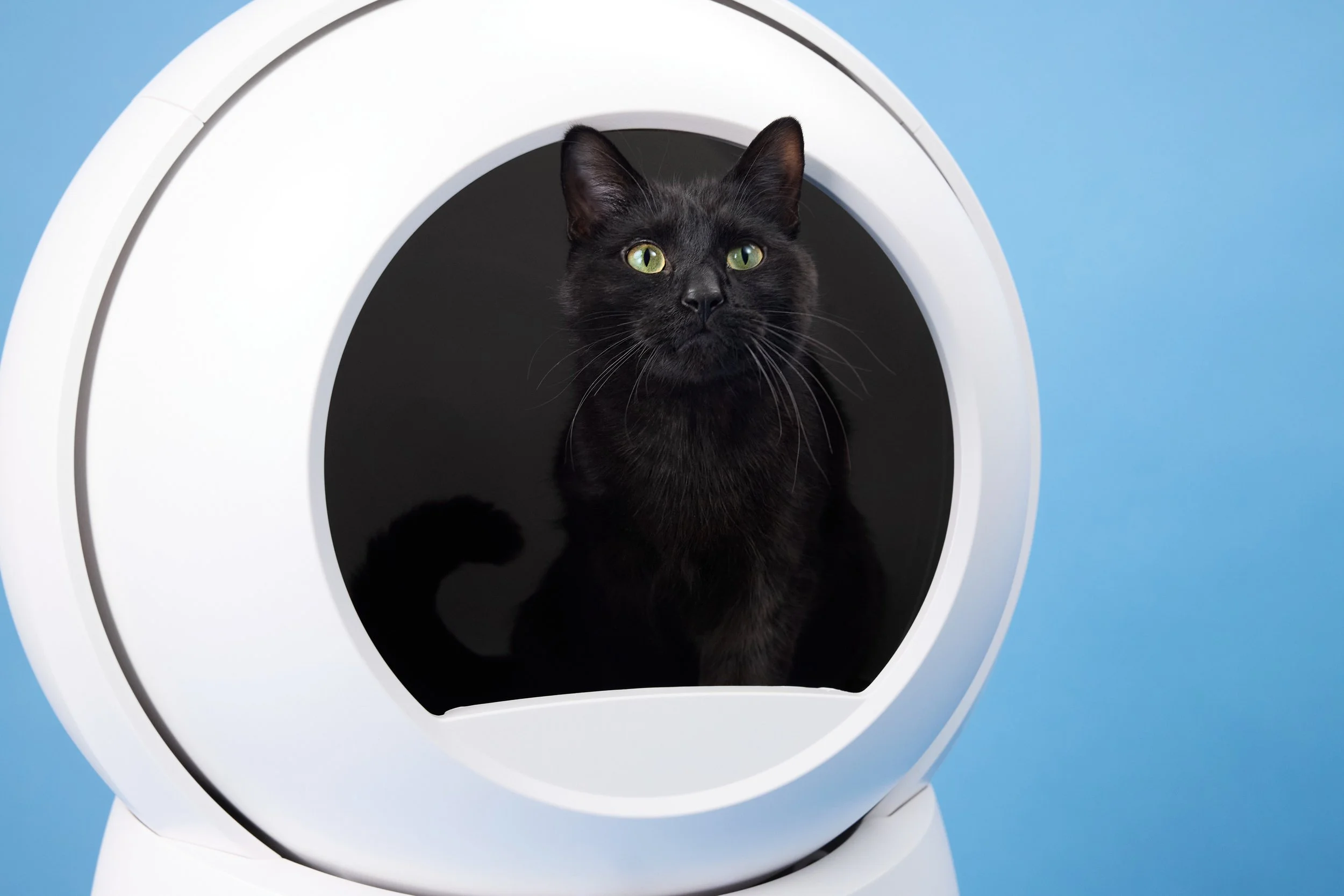 BoxieCat2026_Day3_ 196.jpg